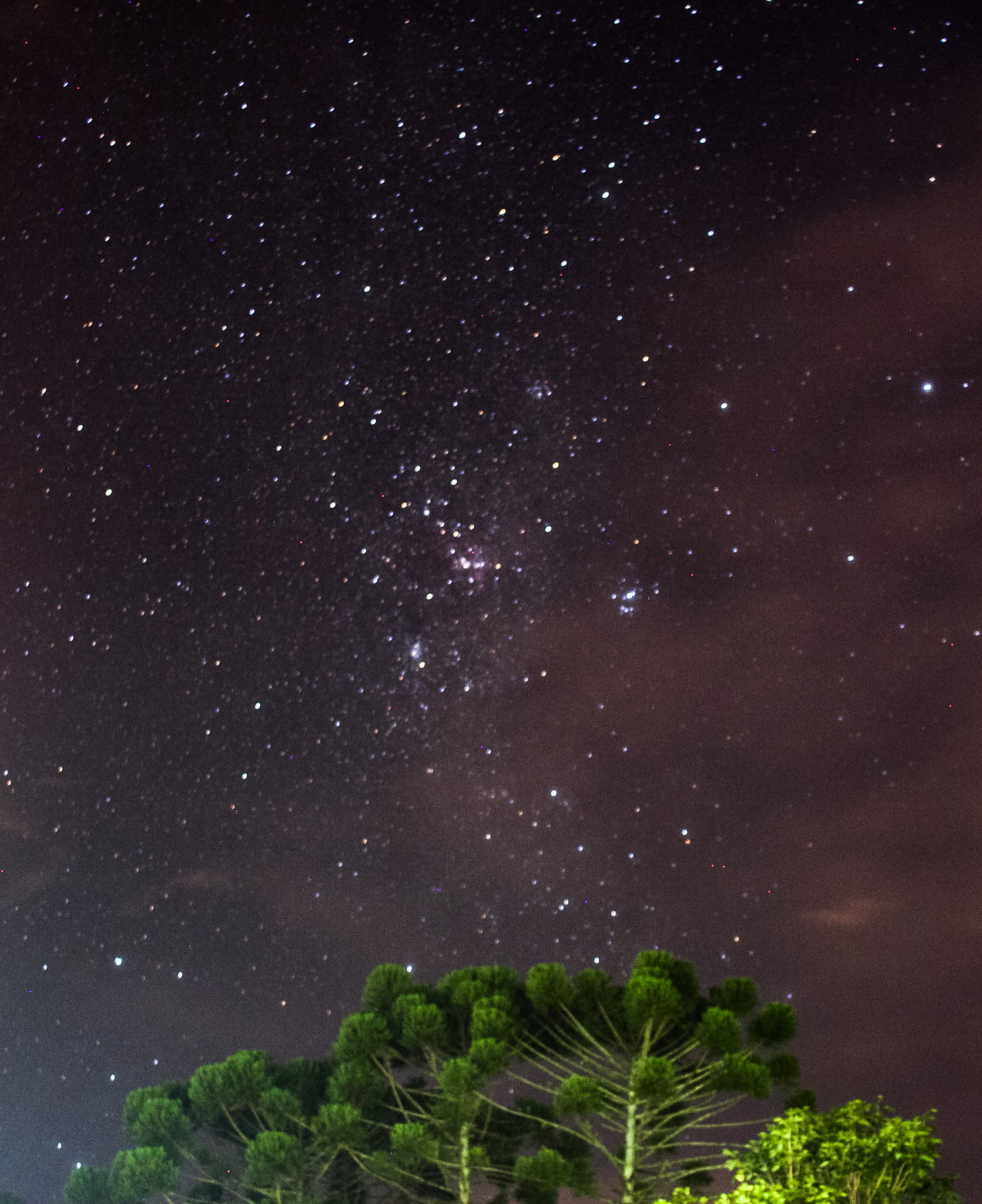 Canon EF-S 24mm F2.8 STM sample photo. Araucárias e as estrelas photography