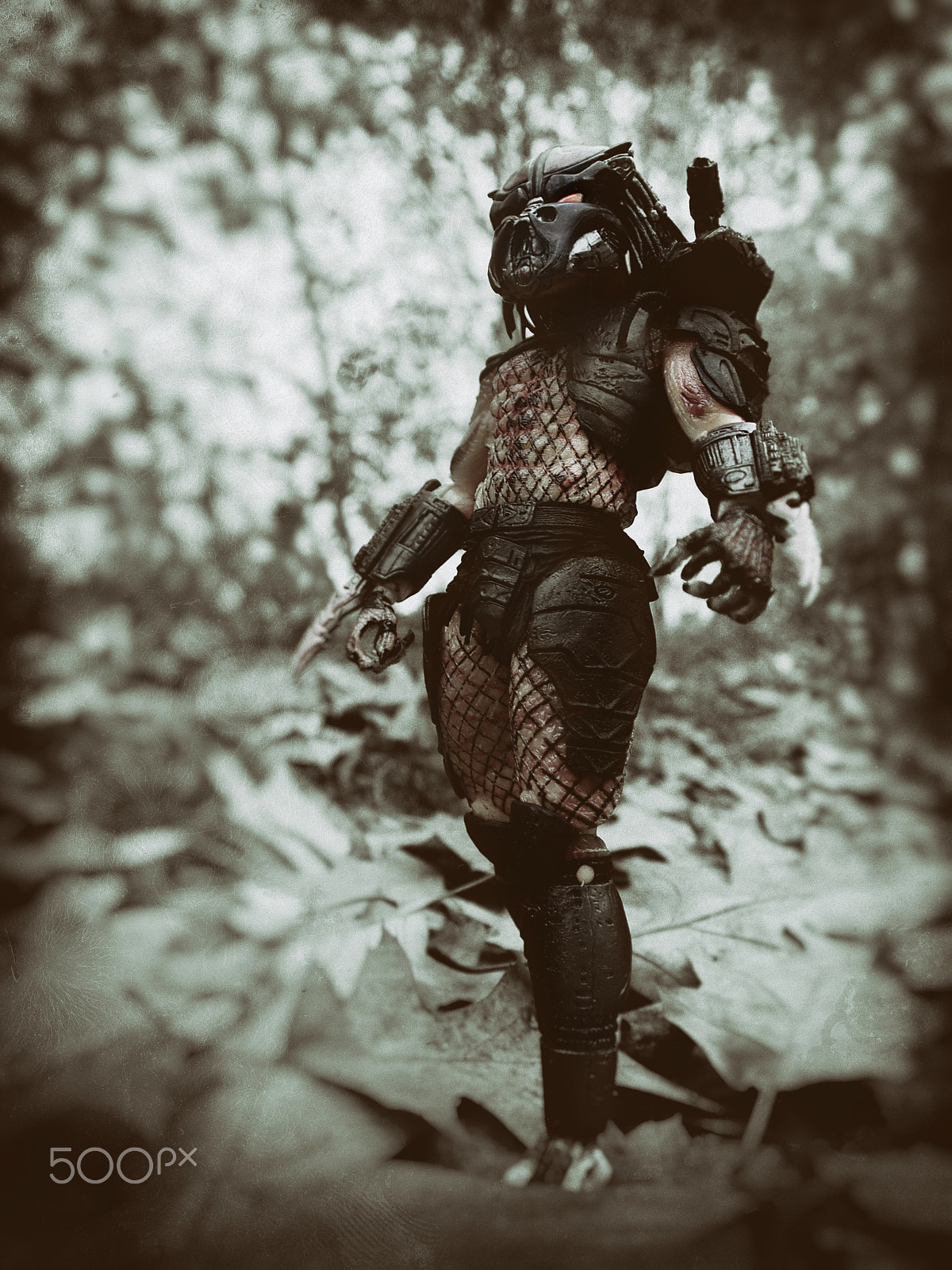 Olympus PEN E-PL2 sample photo. Predator photography