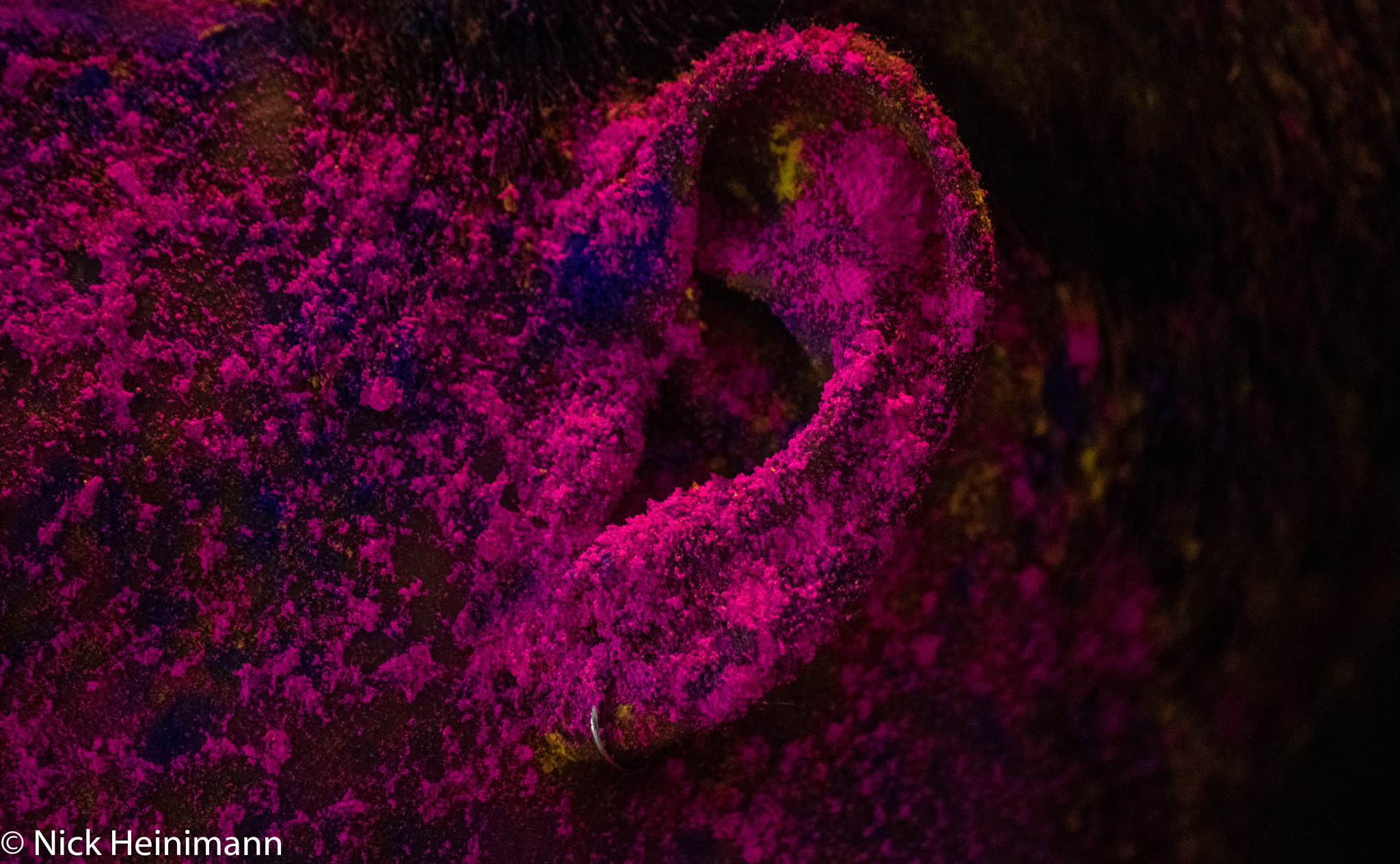 Sigma 70-300mm F4-5.6 APO DG Macro sample photo. A date with powder photography