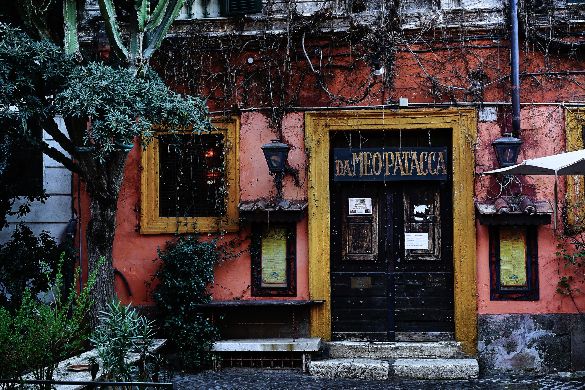 Sony a7R + Sony Sonnar T* FE 55mm F1.8 ZA sample photo. Meo patacca photography
