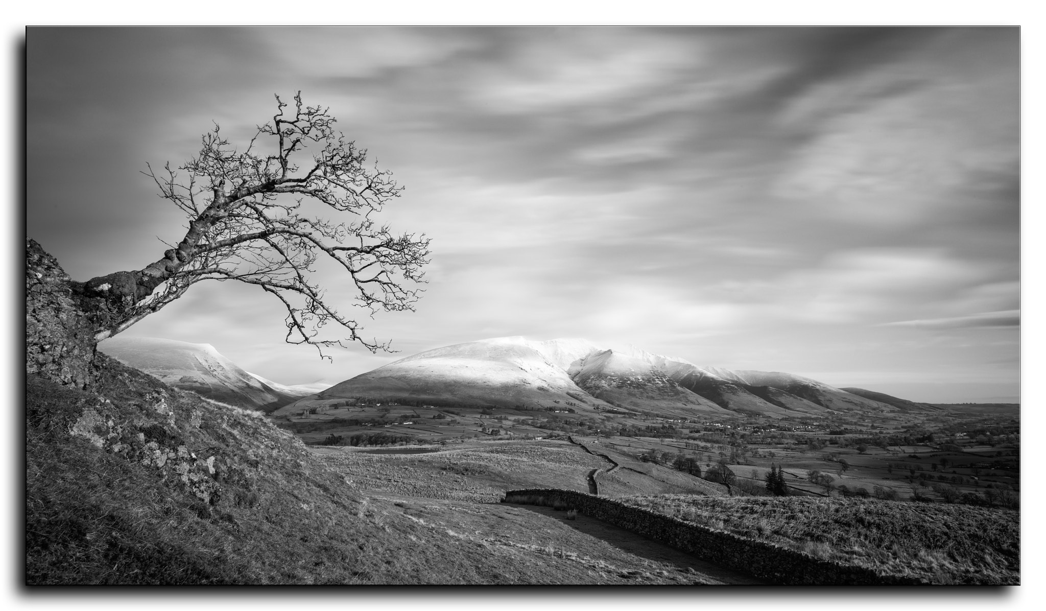 Nikon AF-S Nikkor 18-35mm F3.5-4.5G ED sample photo. The tree and blencathra. photography