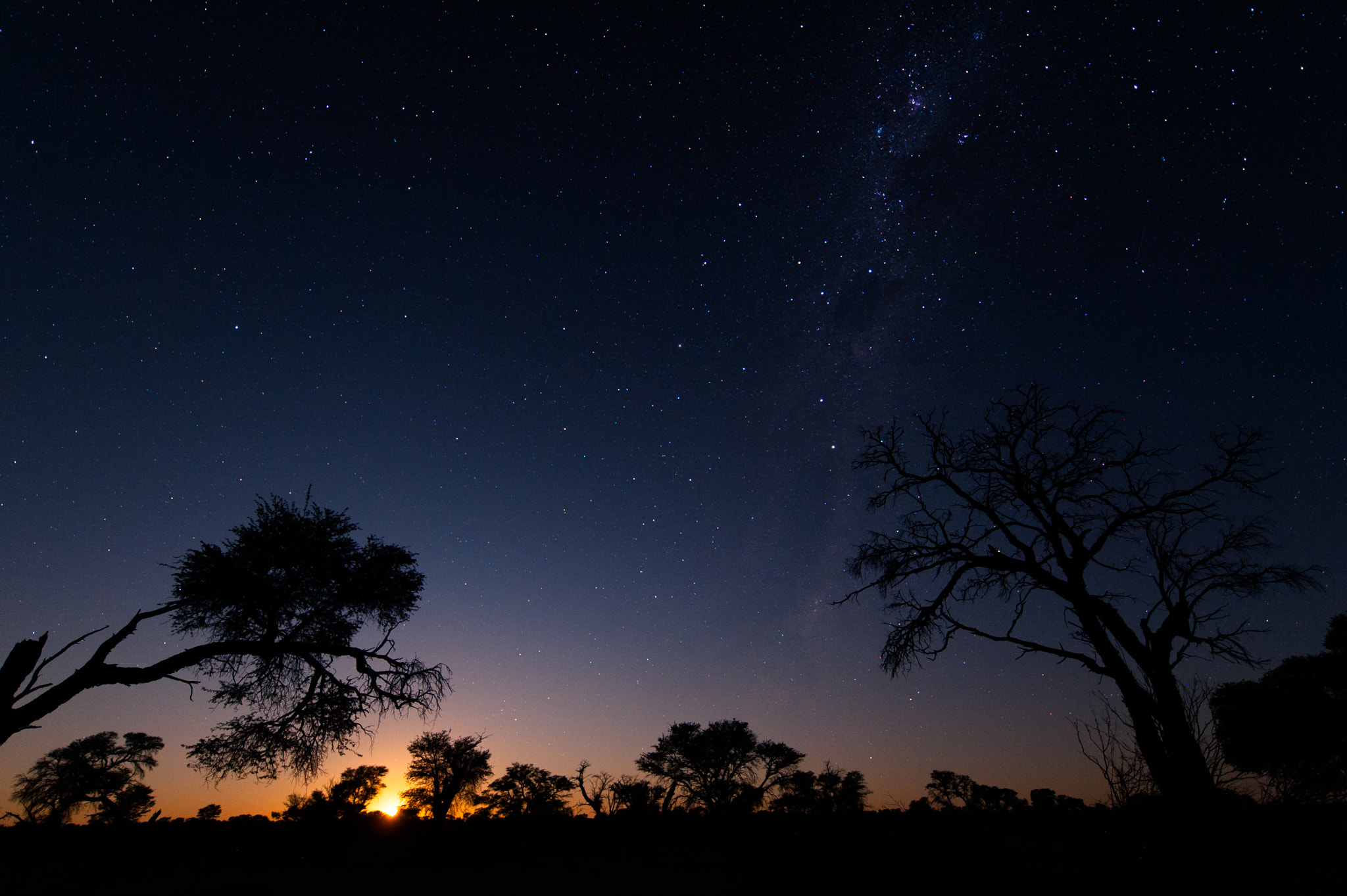 Nikon AF-S Nikkor 14-24mm F2.8G ED sample photo. Moon rise on the milky way and tree silouhettes in the kalahari photography