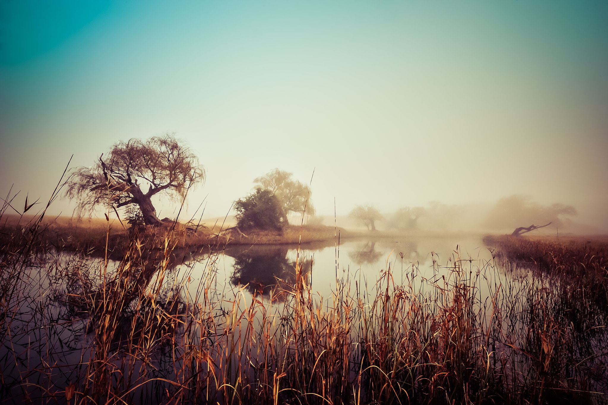 Nikon AF-S Nikkor 14-24mm F2.8G ED sample photo. Misty morning along the river photography