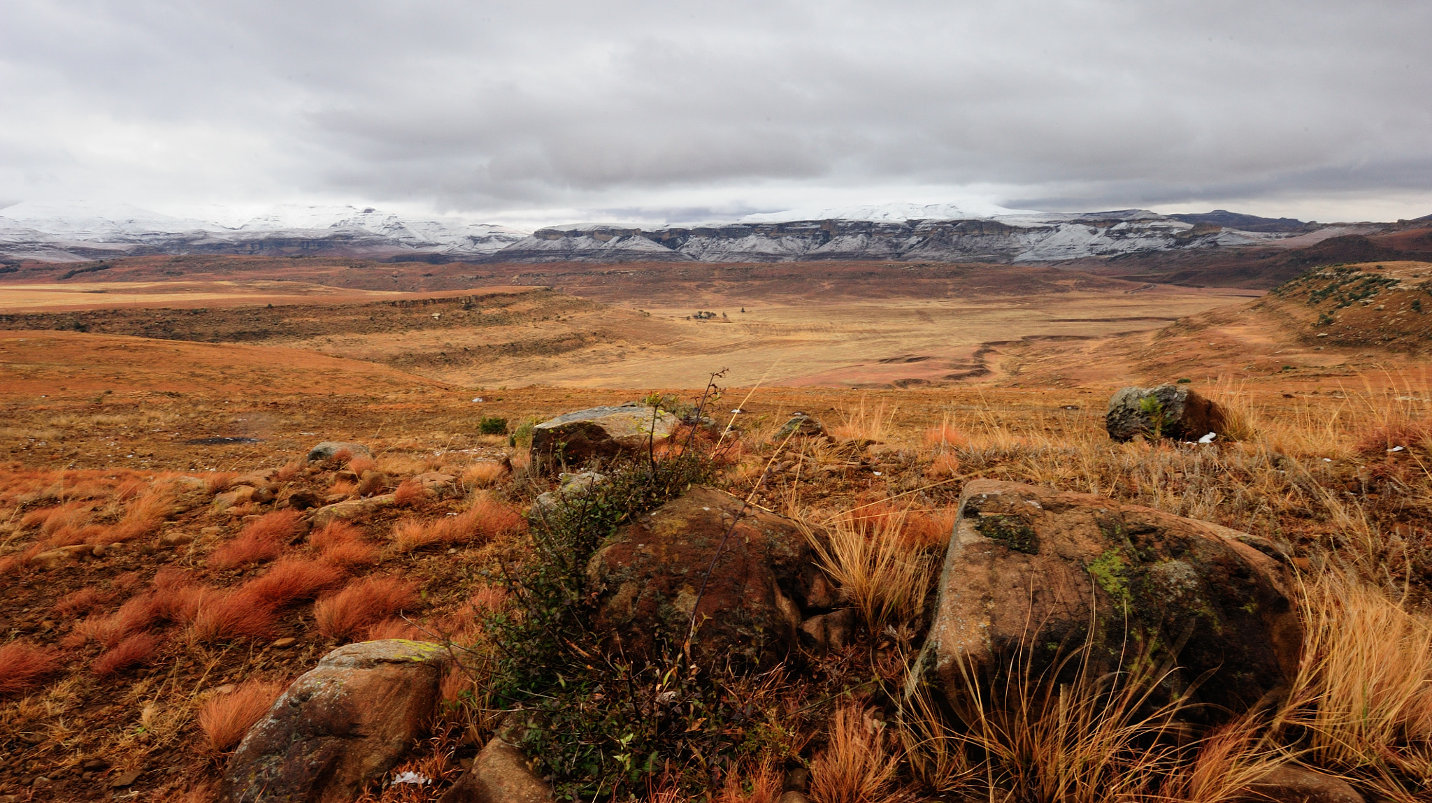 Nikon AF-S Nikkor 14-24mm F2.8G ED sample photo. Snow in golden gate national park photography