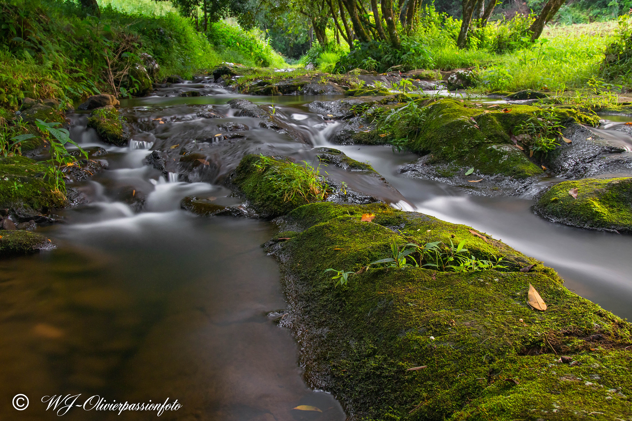 Canon EOS 70D + Sigma 18-35mm f/1.8 DC HSM sample photo. Cours d'eau photography