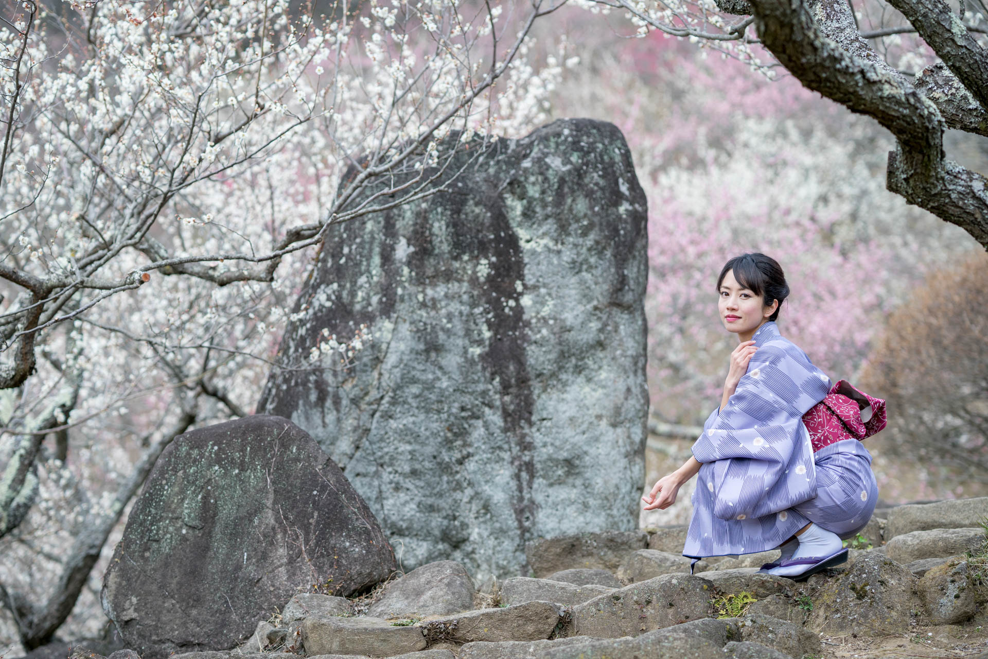 Sony a7 II + Sony FE 85mm F1.4 GM sample photo. 20170302-1 photography