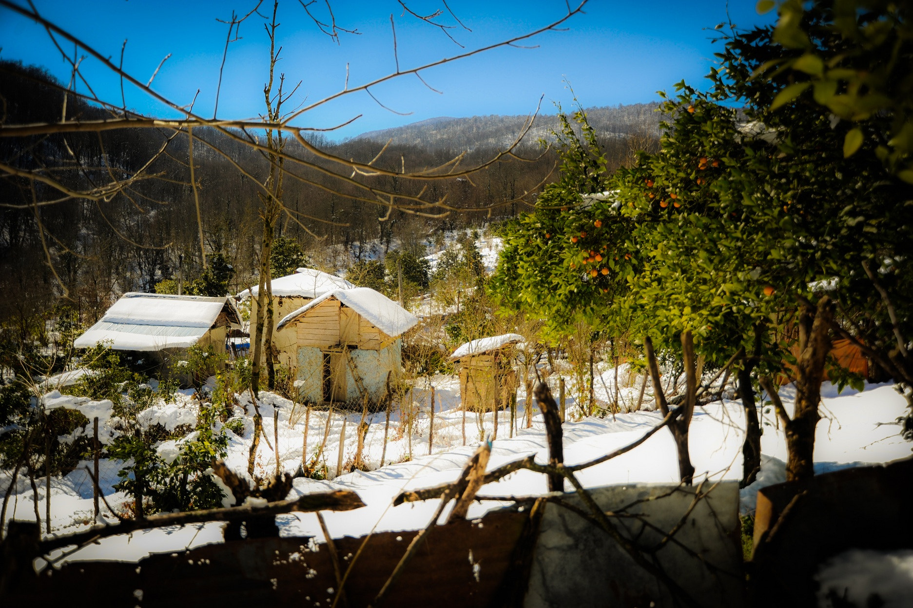 Nikon D700 sample photo. Nice snow photography