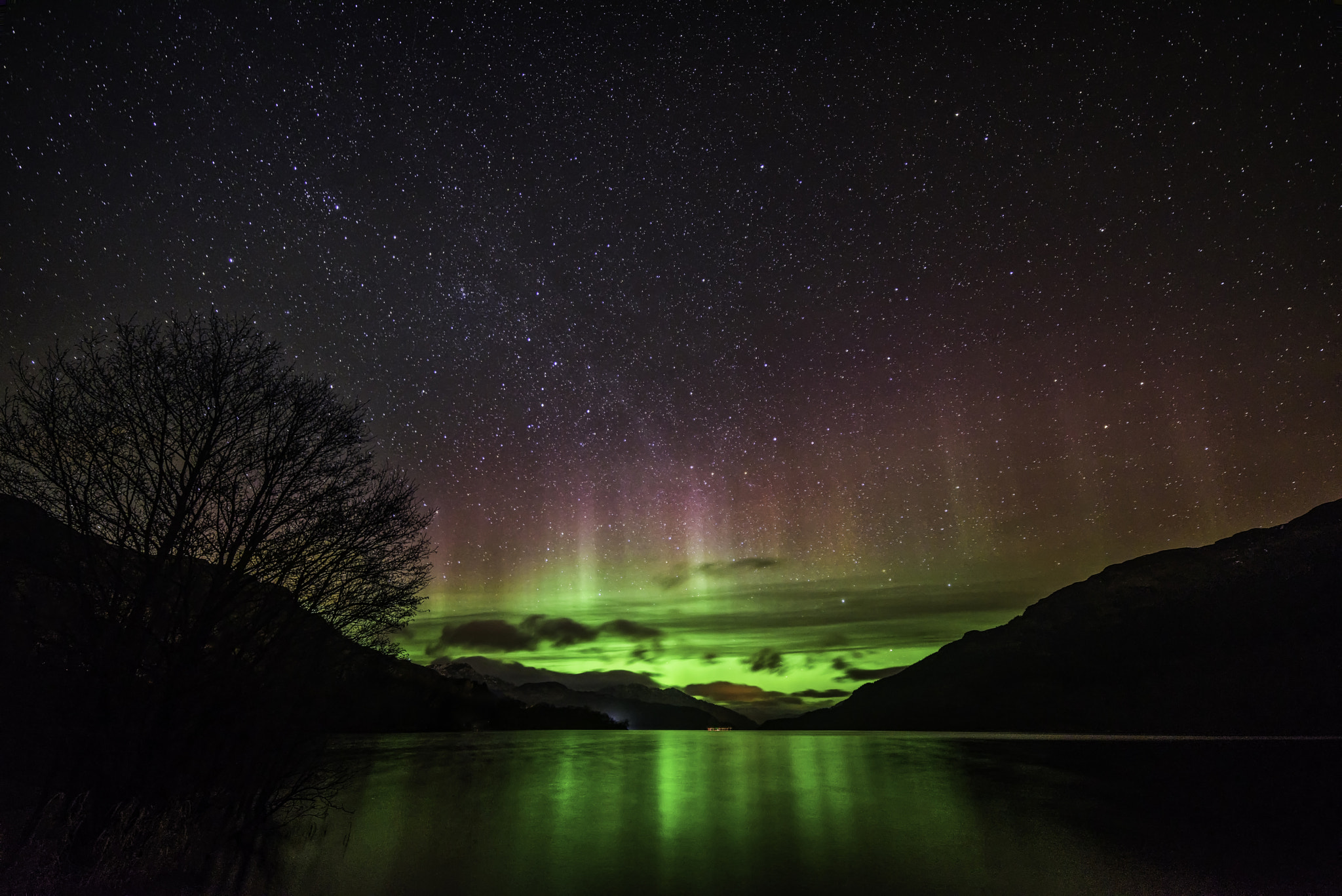 Samyang 14mm F2.8 ED AS IF UMC sample photo. Lochside angels. photography