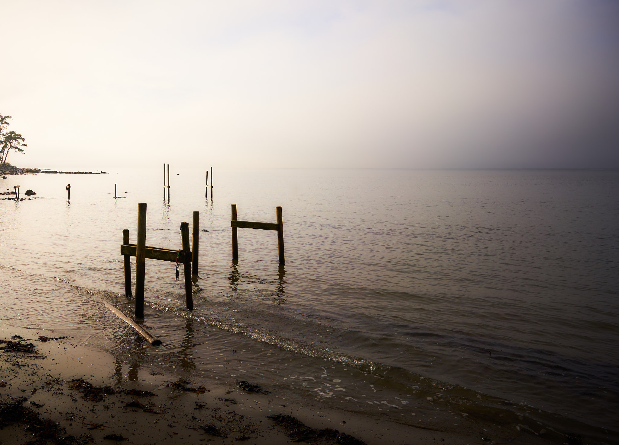 ZEISS Loxia 21mm F2.8 sample photo. Morning fog photography