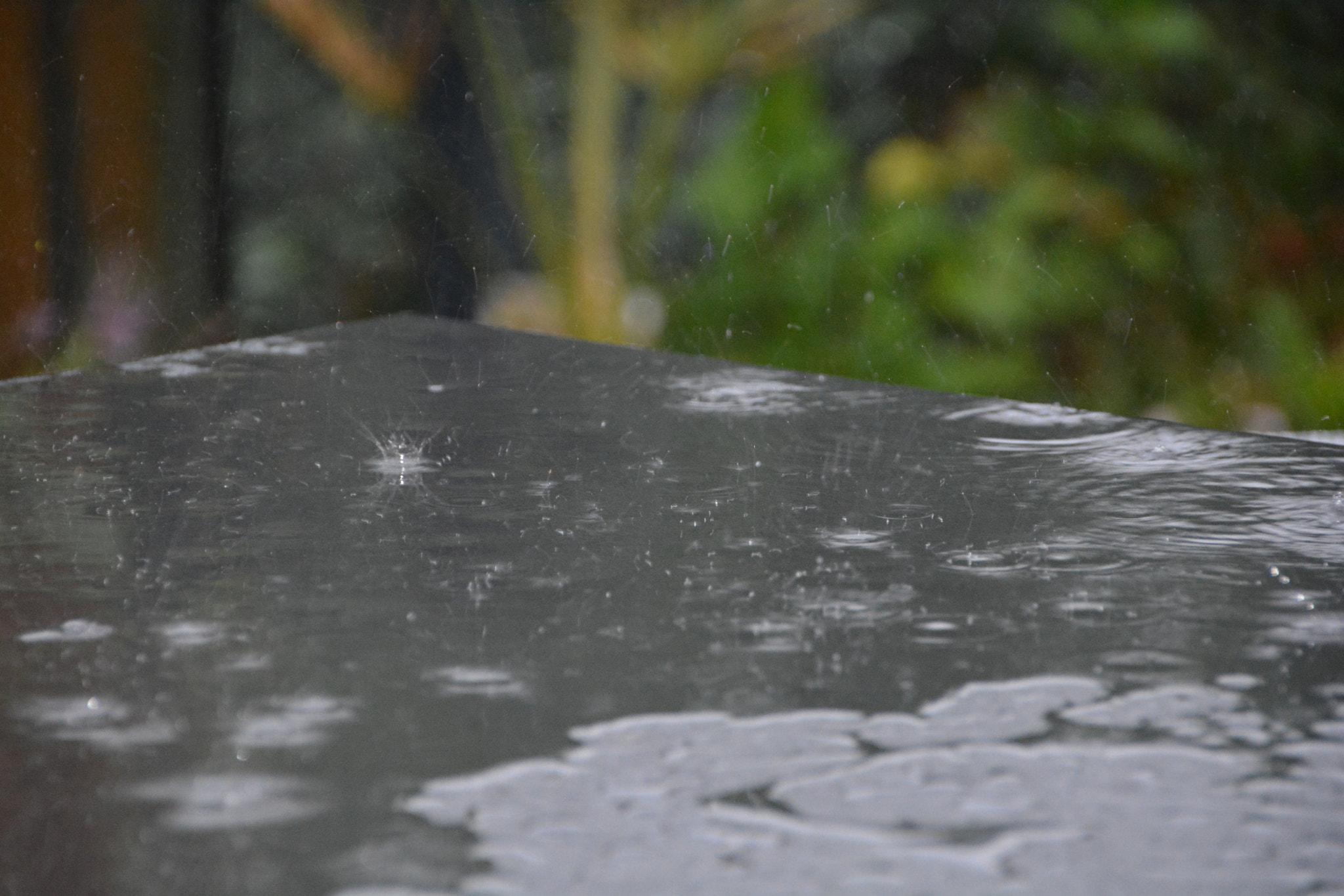 Sigma 18-250mm F3.5-6.3 DC Macro OS HSM sample photo. Rain photography