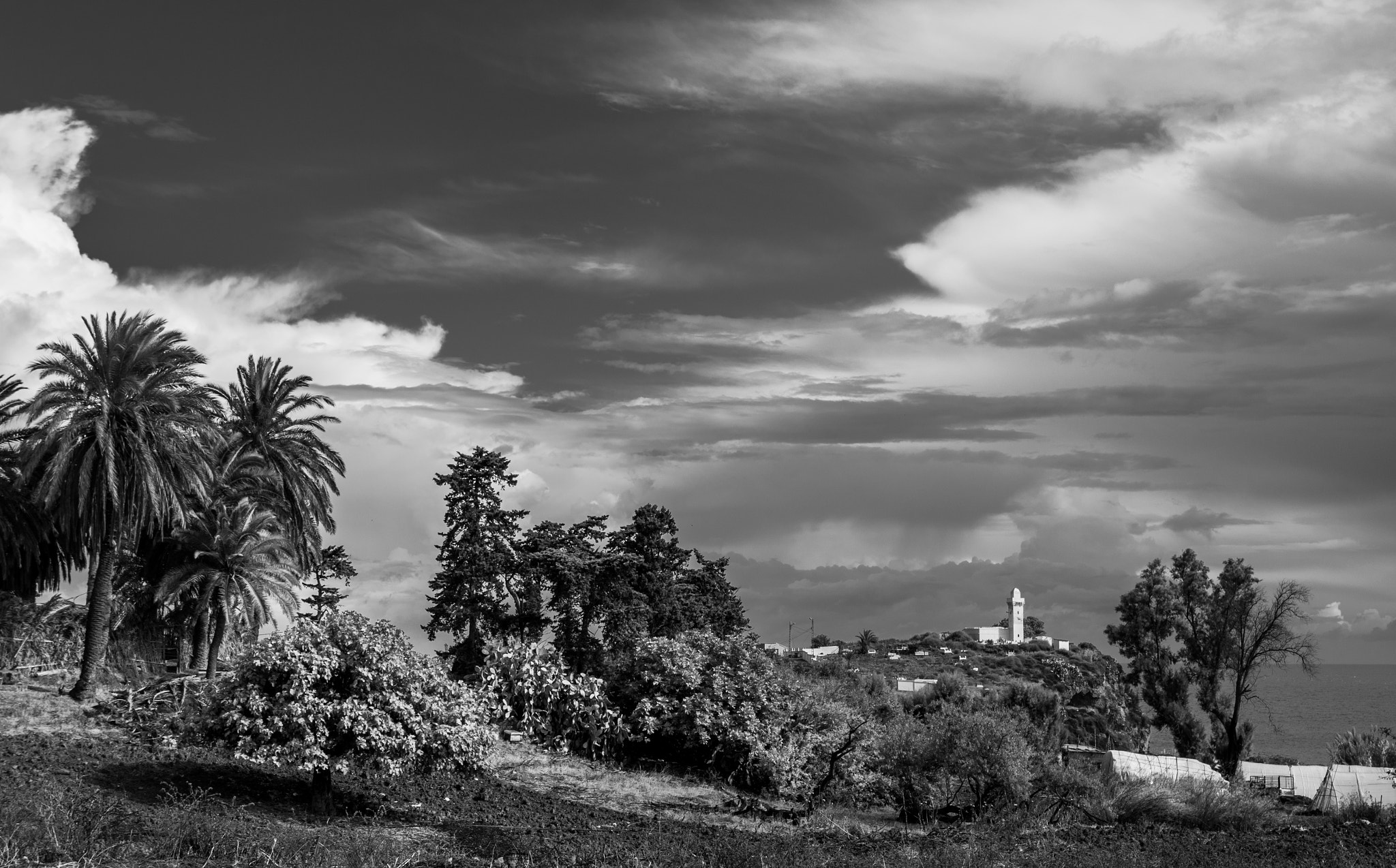 Pentax K-30 sample photo. Algeria photography