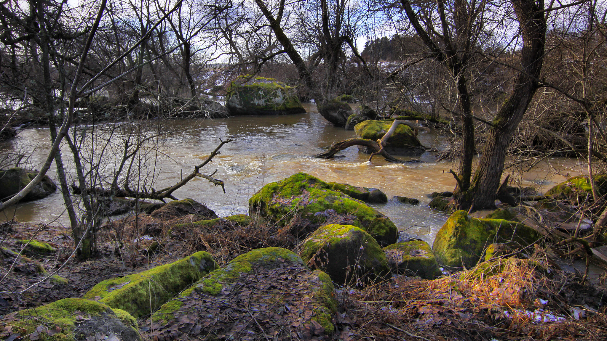 Canon EOS 50D + Tokina AT-X Pro 11-16mm F2.8 DX sample photo. Spring flood photography