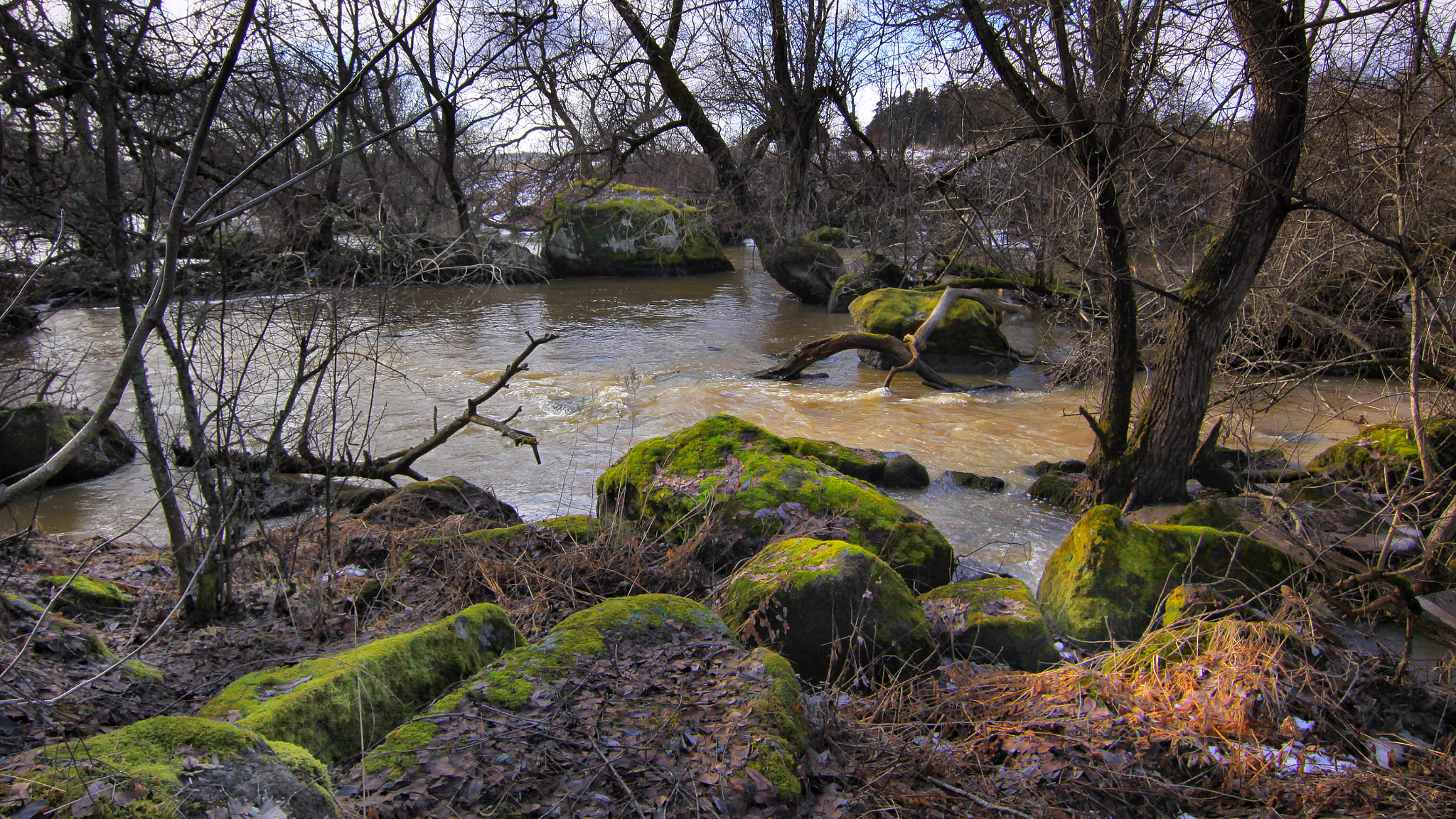 Canon EOS 50D sample photo. Spring flood photography