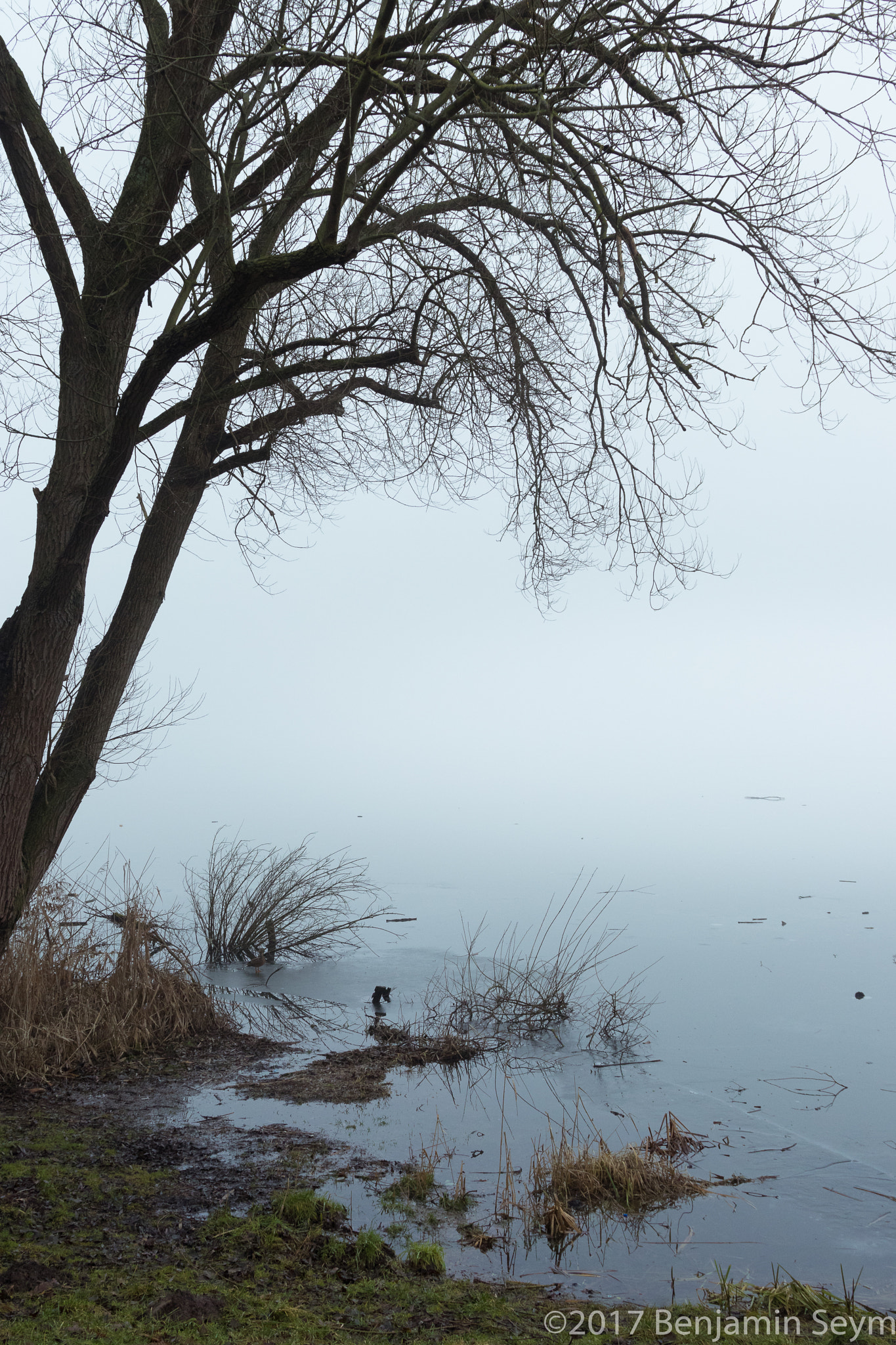 Canon EF 24-105mm F3.5-5.6 IS STM sample photo. Steinhuder meer photography