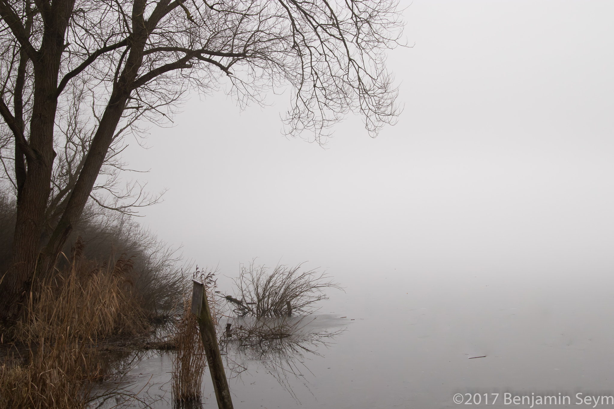 Canon EF 24-105mm F3.5-5.6 IS STM sample photo. Steinhuder meer photography