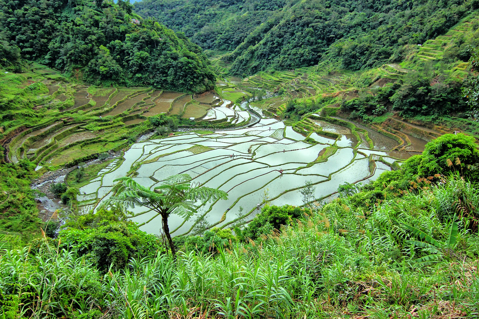 Canon EOS 550D (EOS Rebel T2i / EOS Kiss X4) sample photo. Batad rice fields photography
