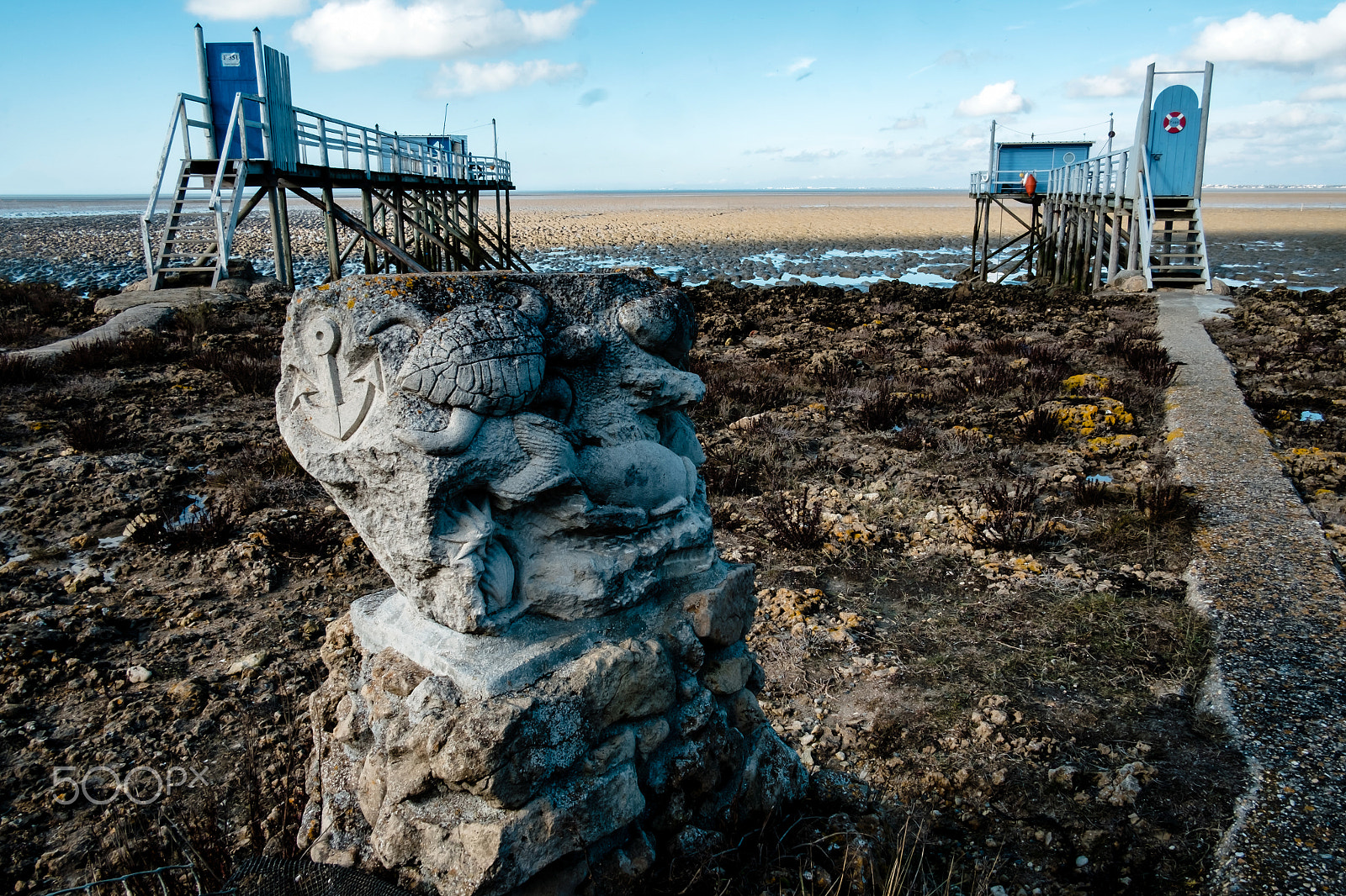 Fujifilm X-Pro1 + Fujifilm XF 18mm F2 R sample photo. Sculpture marine photography