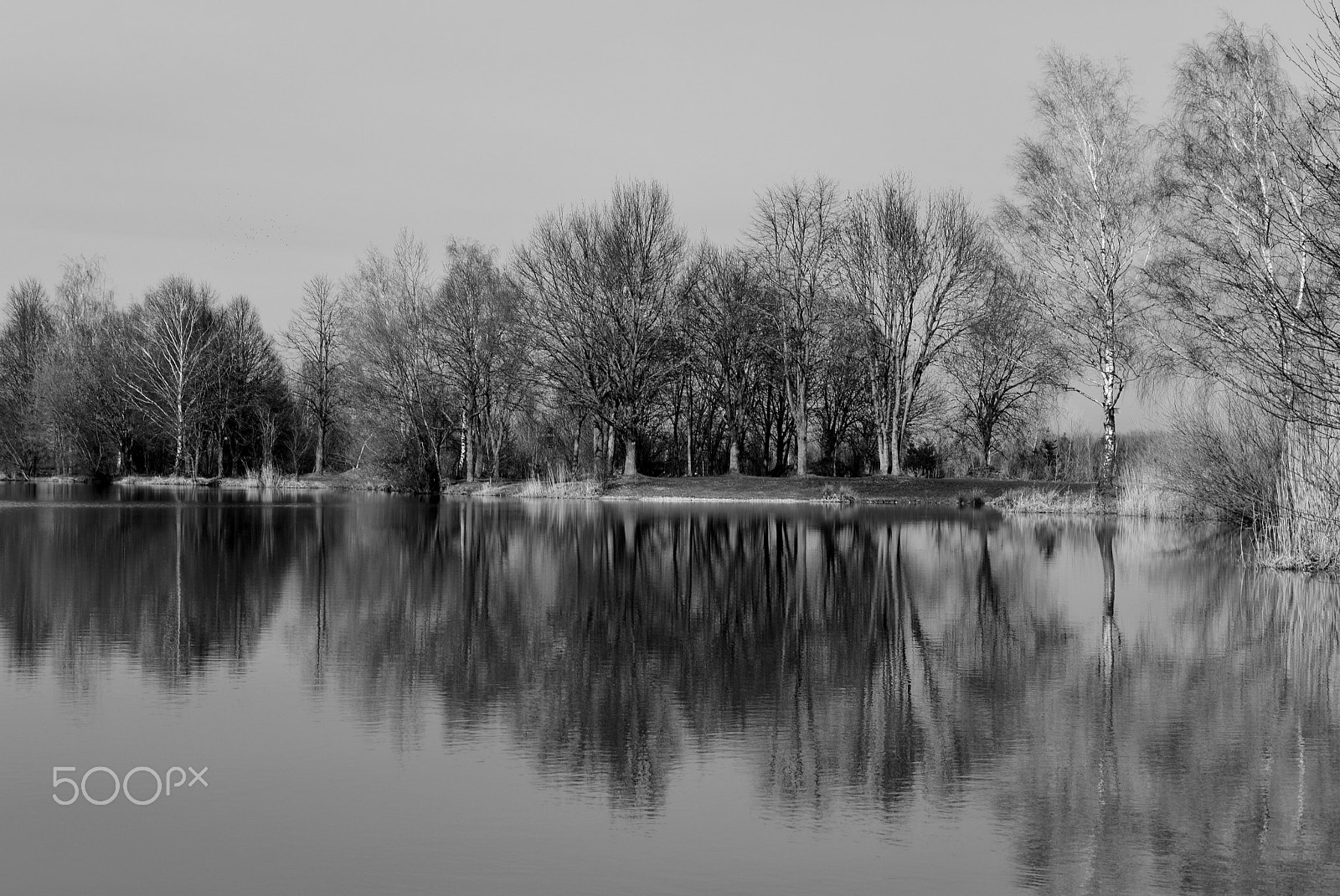 Nikon D810 sample photo. Black ans white photography