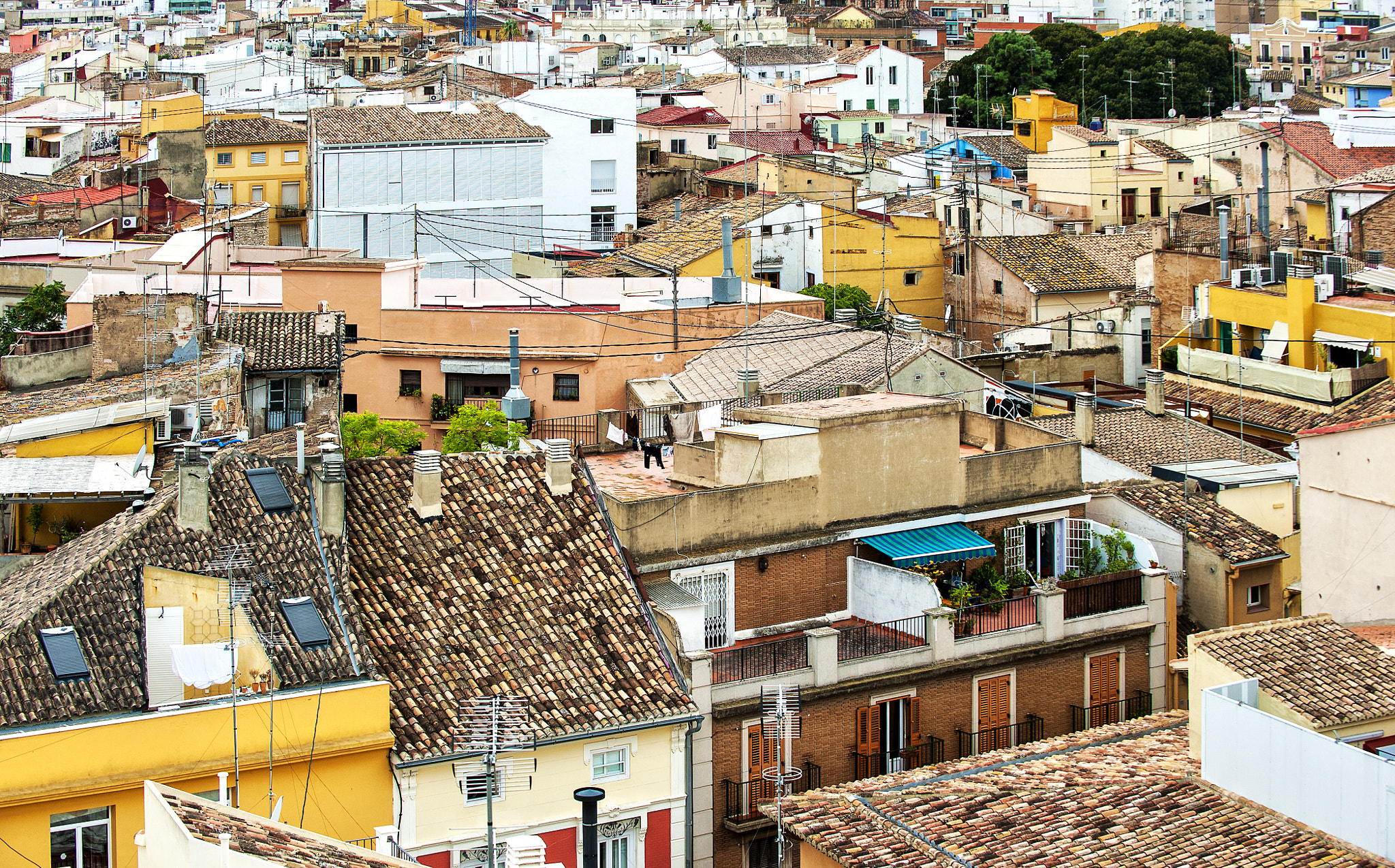 Nikon D700 sample photo. City roofs photography