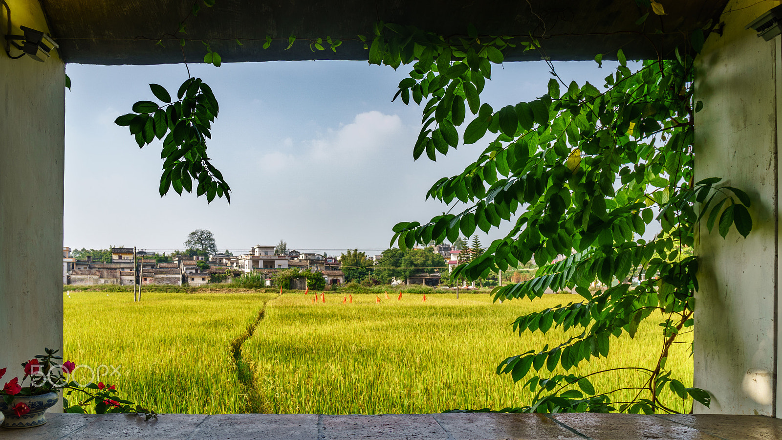 Sony a6300 + Sony Vario-Tessar T* E 16-70mm F4 ZA OSS sample photo. Dsc08143 photography