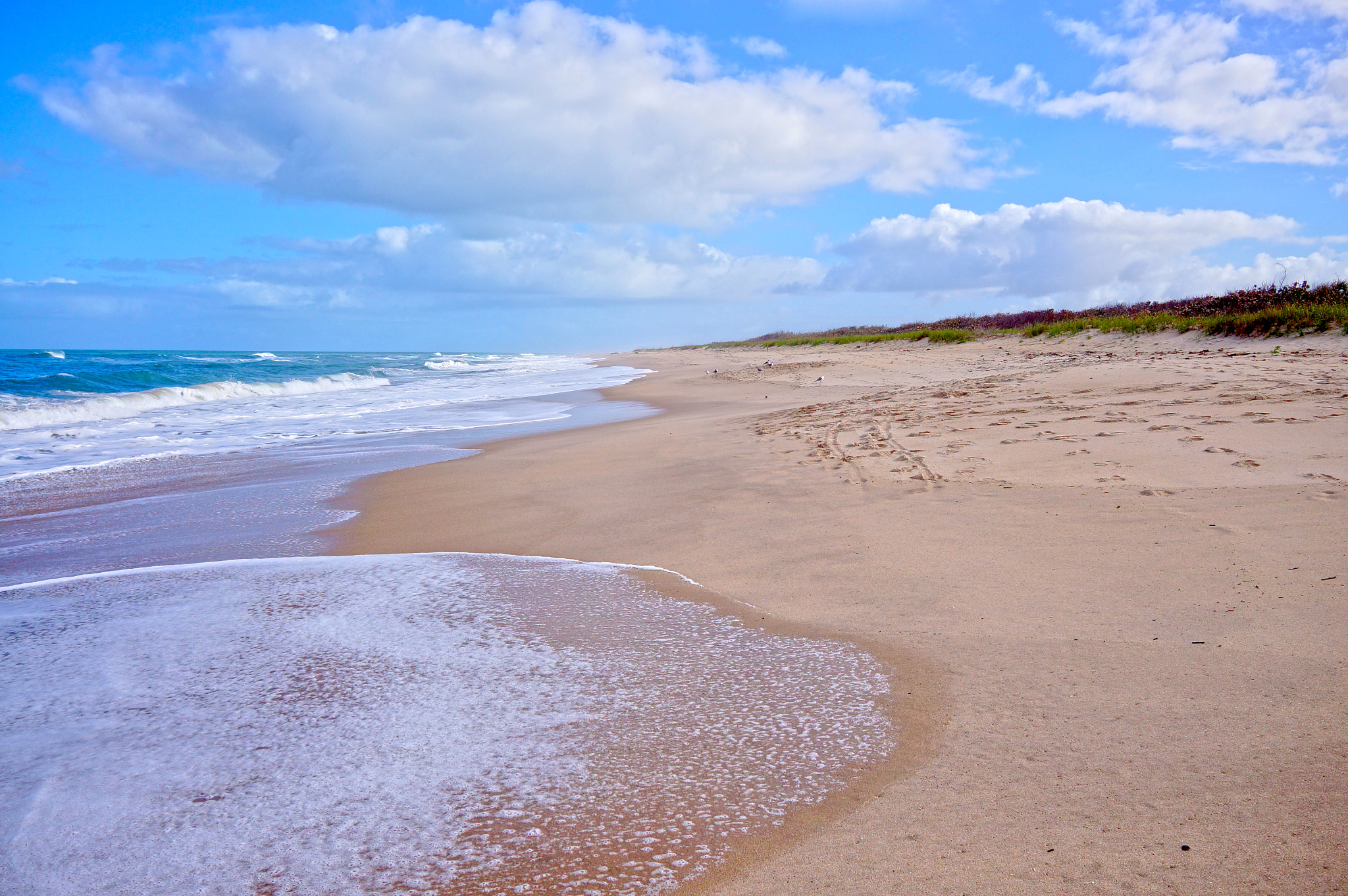 Sony Alpha NEX-5N + Sigma 19mm F2.8 EX DN sample photo. Sebastian inlet beach photography