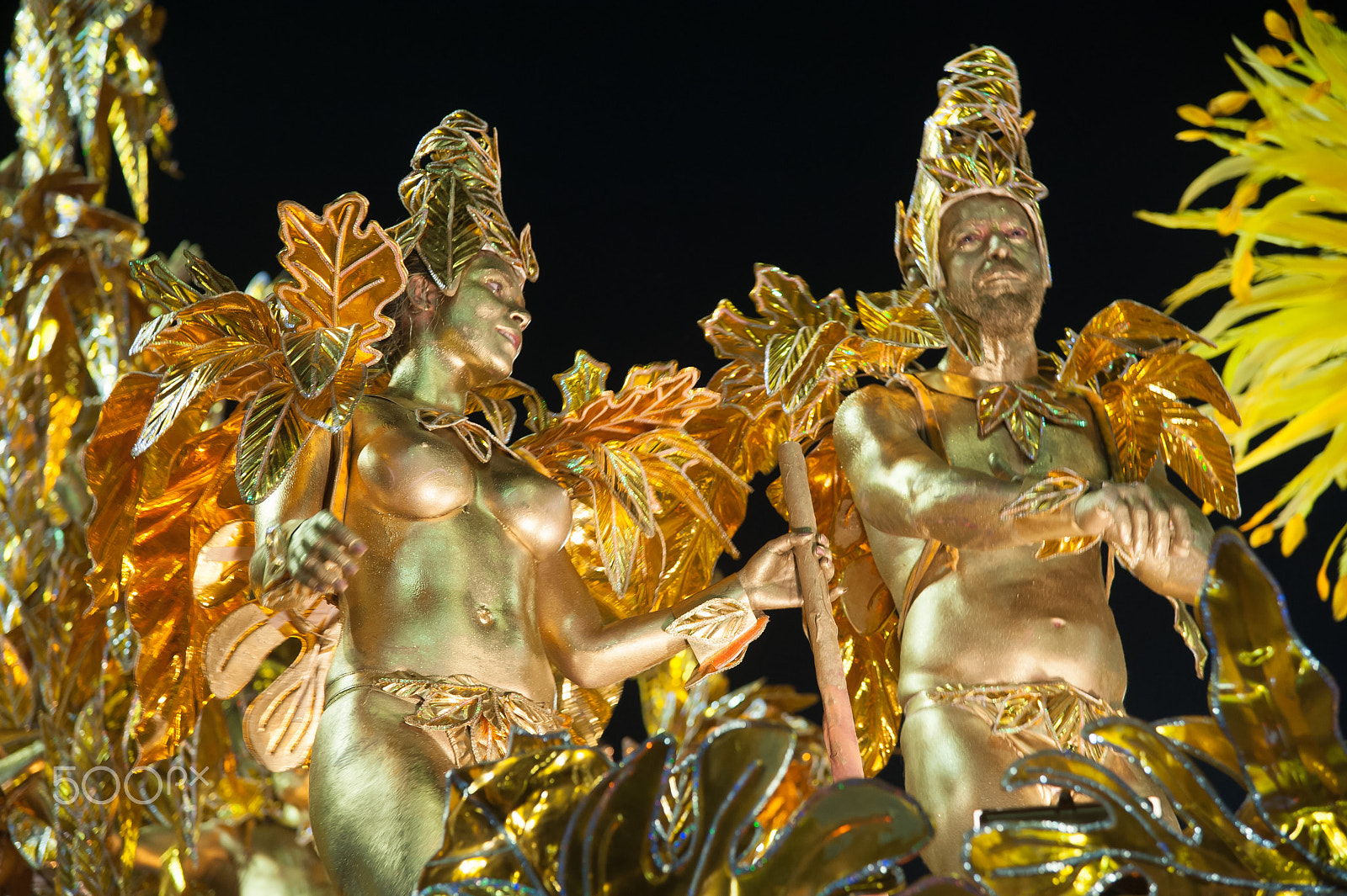 Nikon AF-S Nikkor 24-120mm F4G ED VR sample photo. Parade of the samba school portela photography