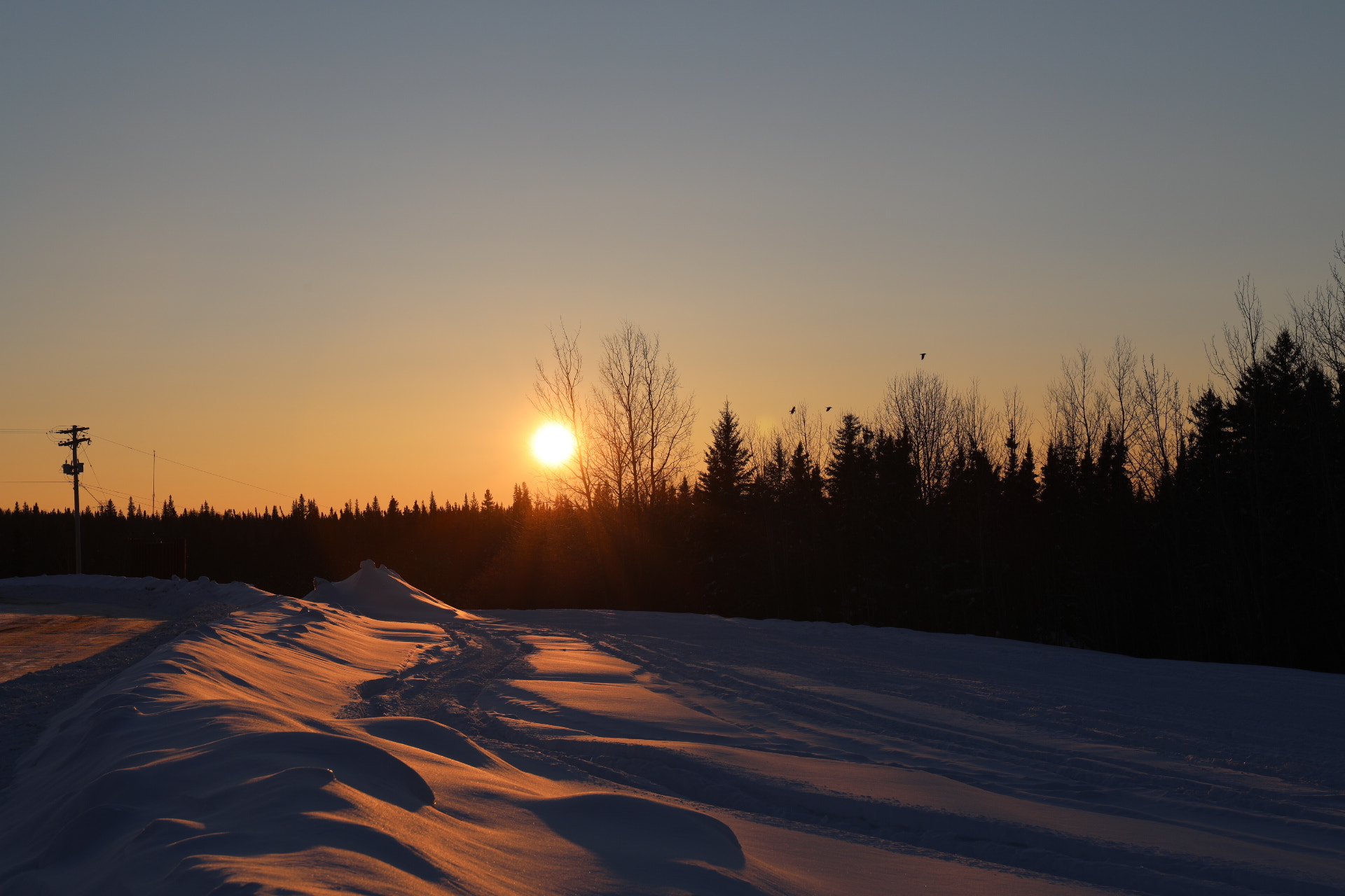Canon EF 24-70mm F4L IS USM sample photo. Sunset birds :))) photography