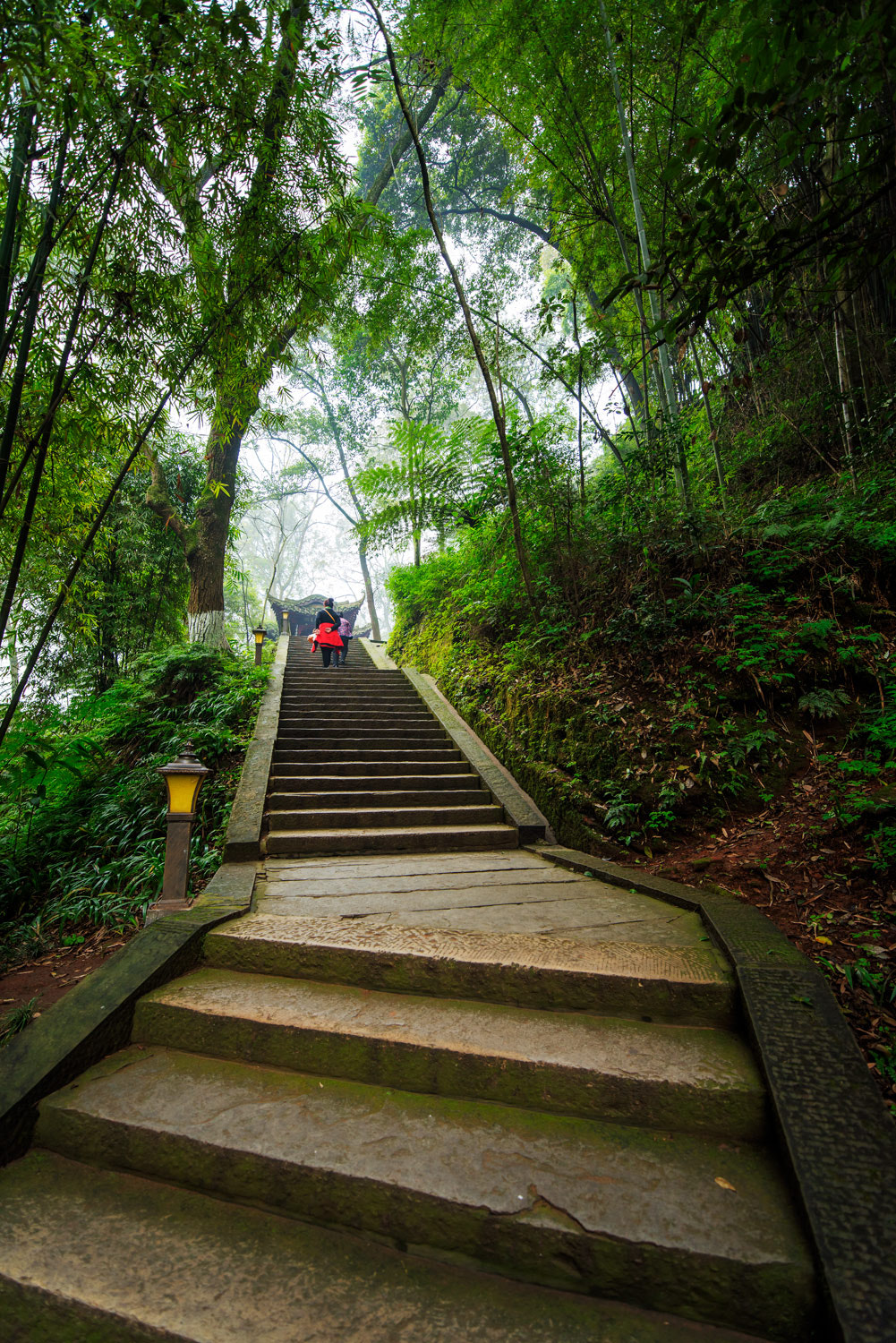 Nikon D810 sample photo
