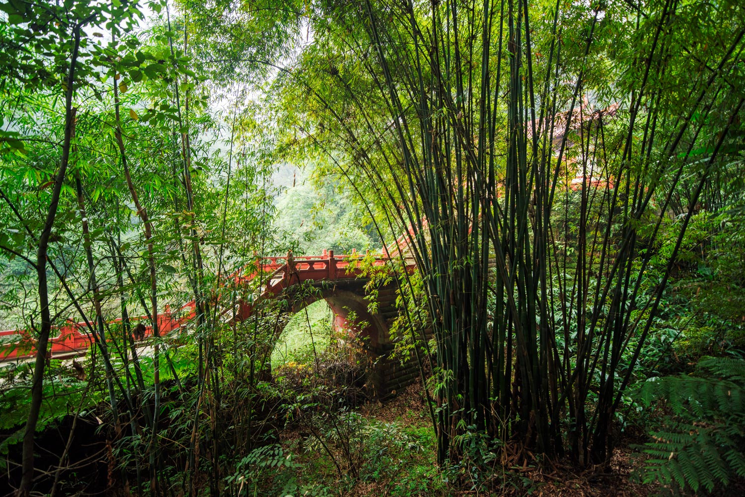 Nikon D810 sample photo
