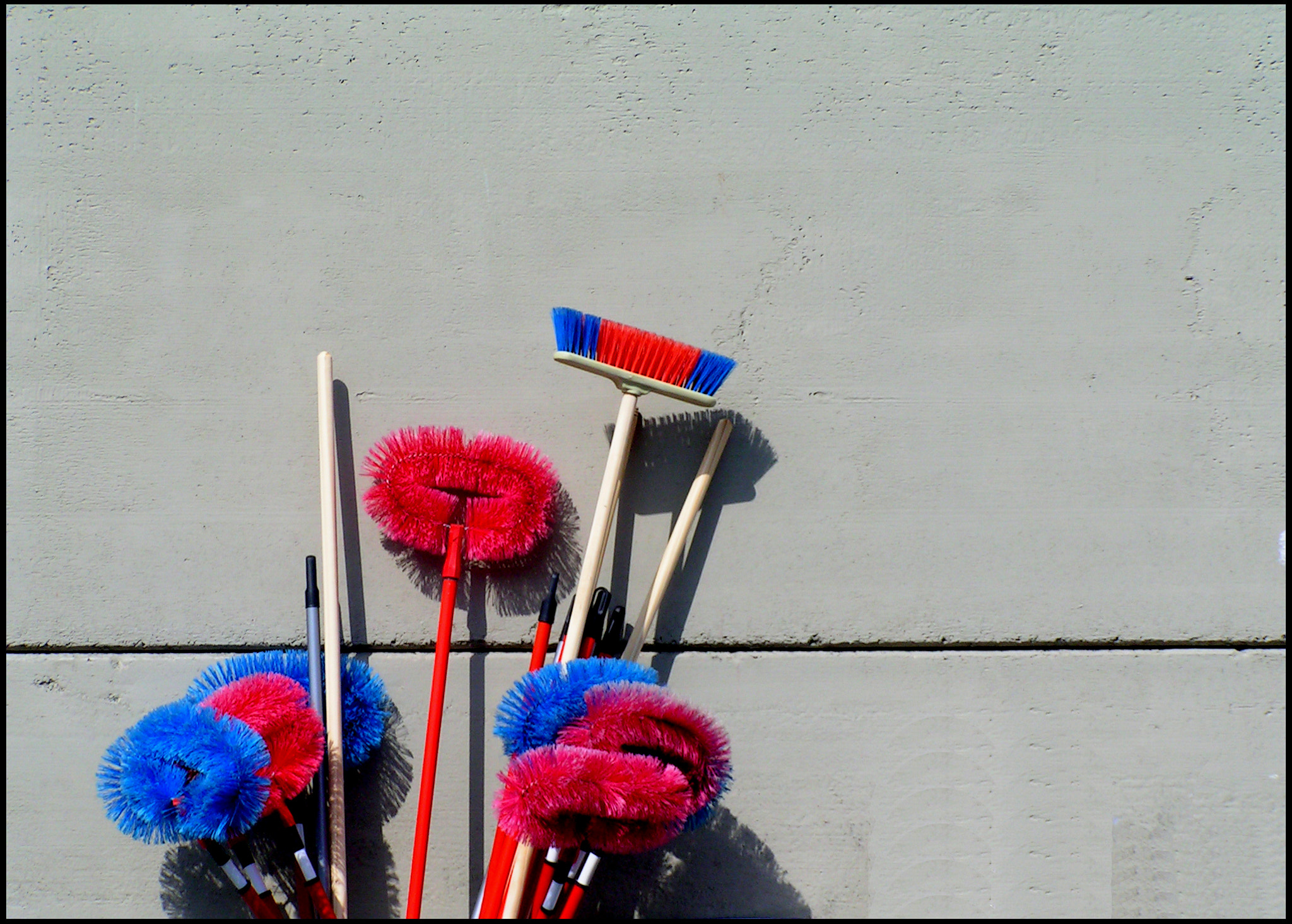 KONICA MINOLTA DiMAGE Z1 sample photo. Brushes photography