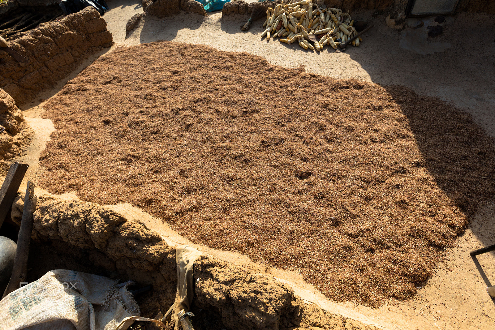 Canon EF 16-35mm F2.8L II USM sample photo. Millet  in lobi village photography