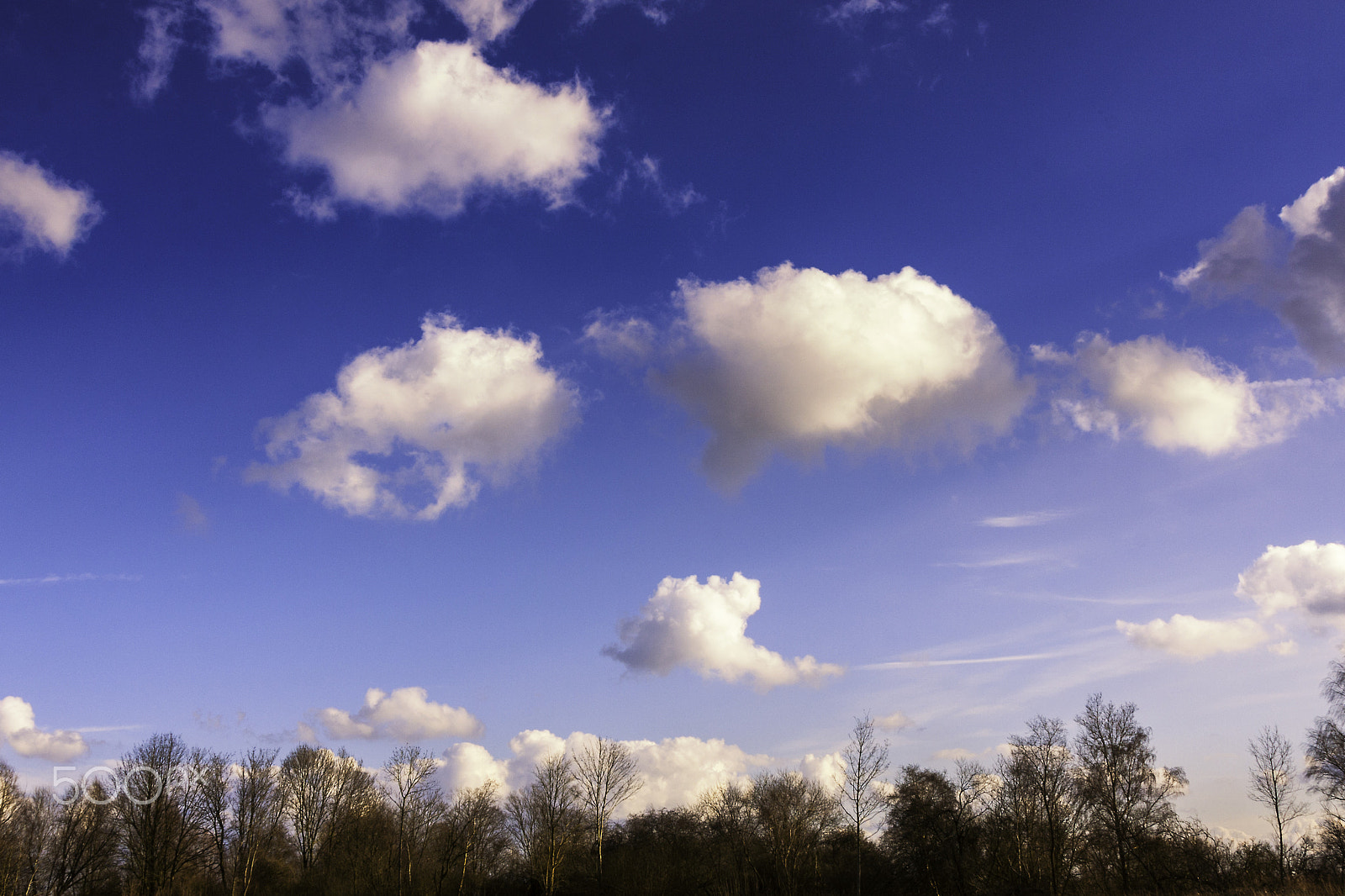 Canon EOS 40D + Canon EF 24-105mm F4L IS USM sample photo. Clouds1 photography
