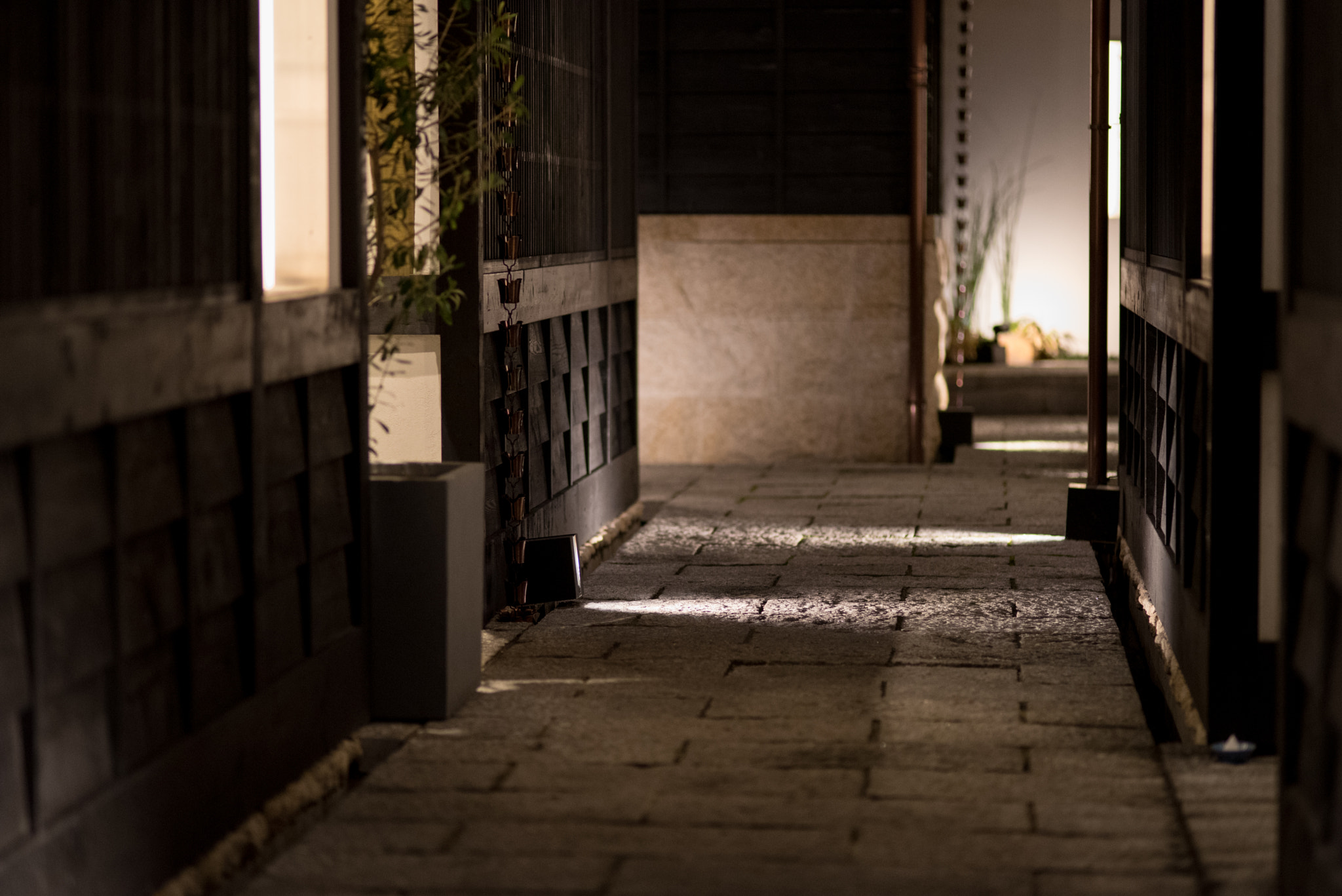 ZEISS Milvus 100mm F2 Macro sample photo. Night view 14 photography