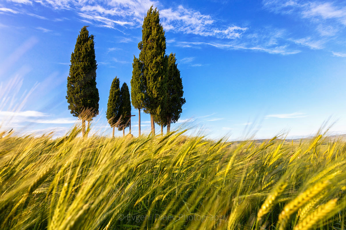 Canon EF 16-35mm F2.8L II USM sample photo. Springtime in tuscany photography
