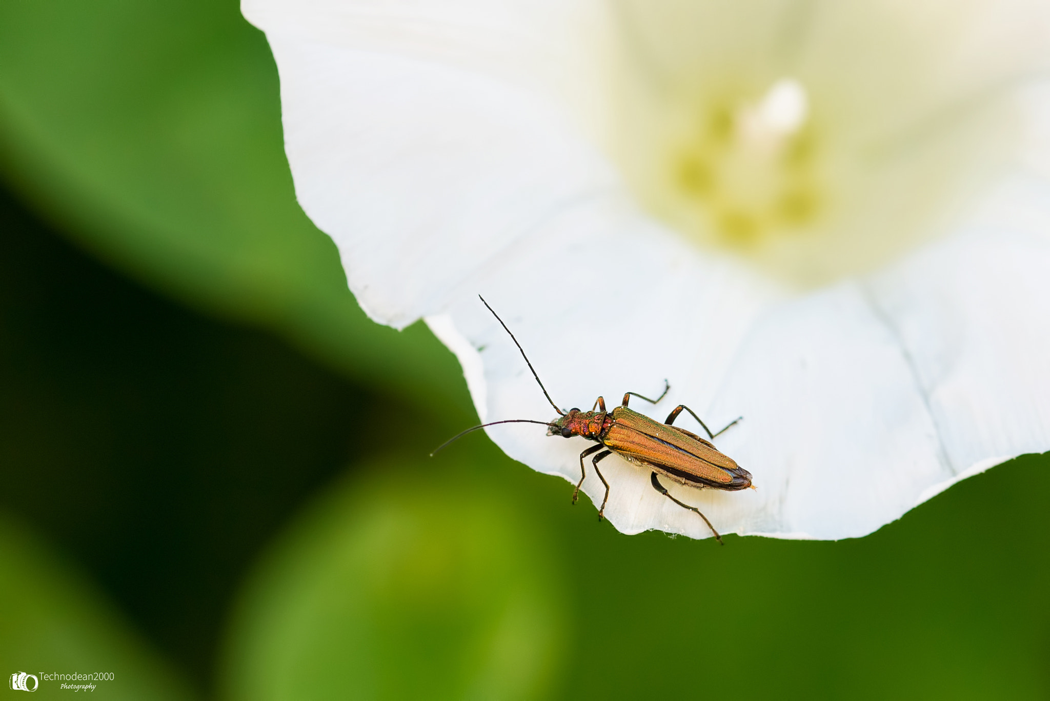Sigma 105mm F2.8 EX DG OS HSM sample photo. Hold on photography