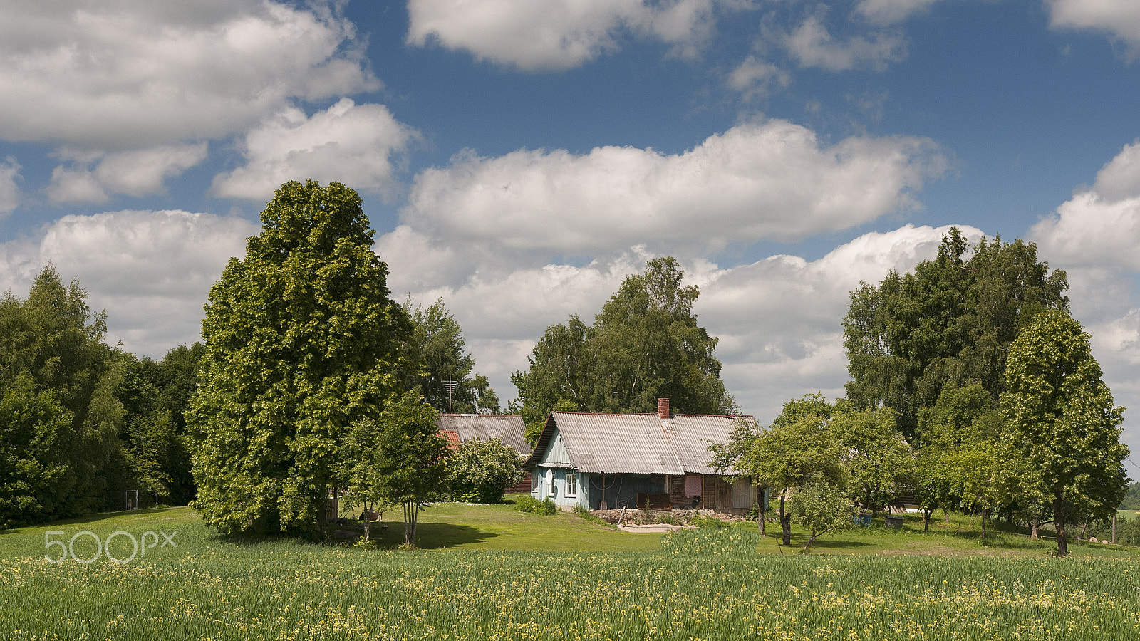 Nikon D300 + Sigma 18-35mm F1.8 DC HSM Art sample photo. Lithuanian idyl photography