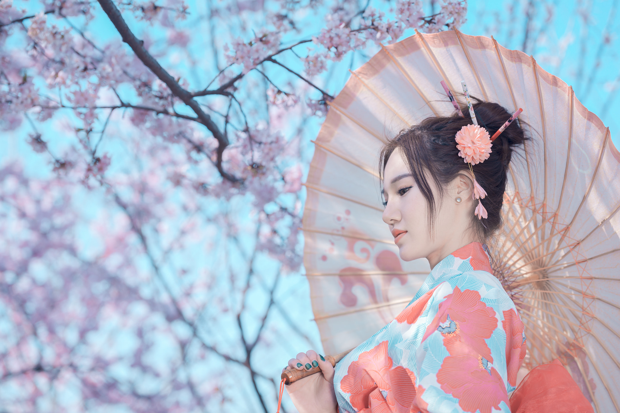 Nikon AF-S Nikkor 70-200mm F2.8G ED VR II sample photo. Sakura season comes as usual. photography