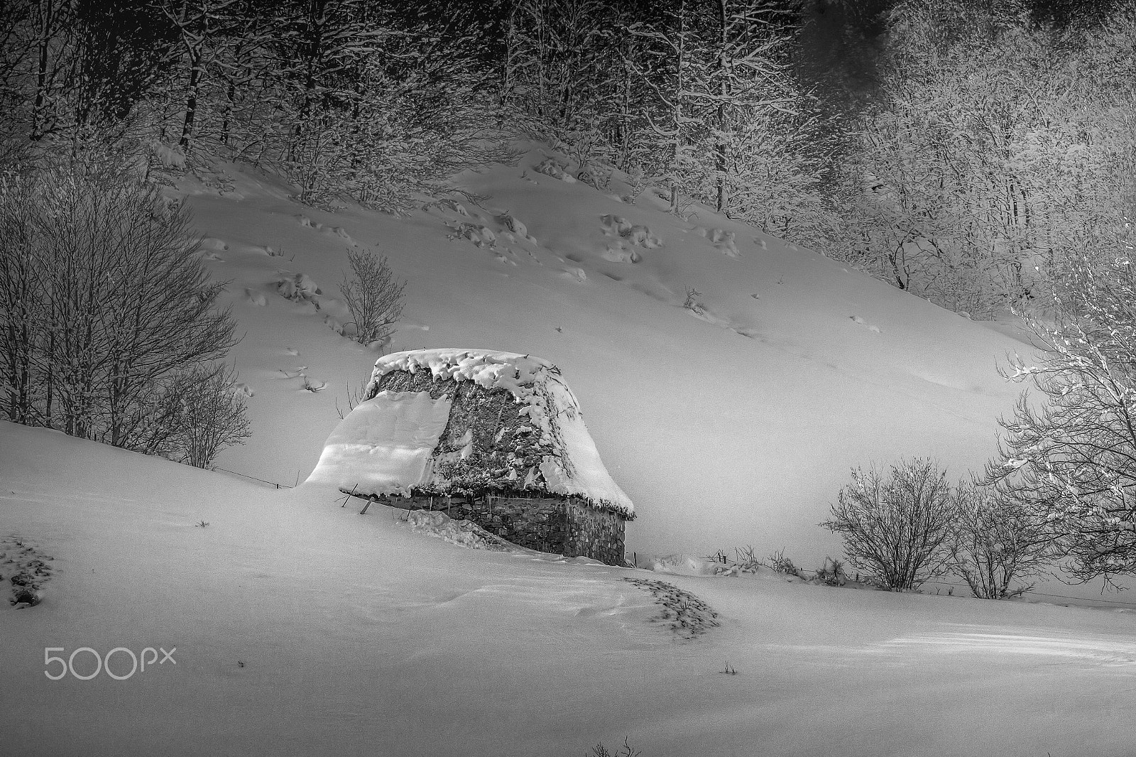 Sigma 150-600mm F5-6.3 DG OS HSM | C sample photo. Shepherd´s hut photography