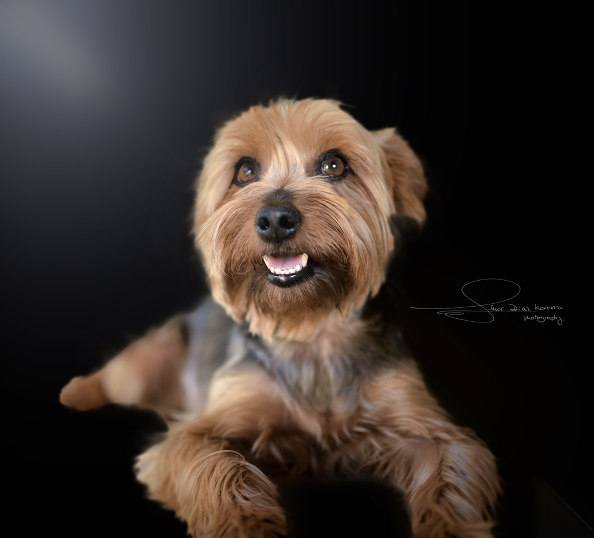 Nikon D750 + Nikon AF-S DX Nikkor 35mm F1.8G sample photo. - happy birthday oskar - photography