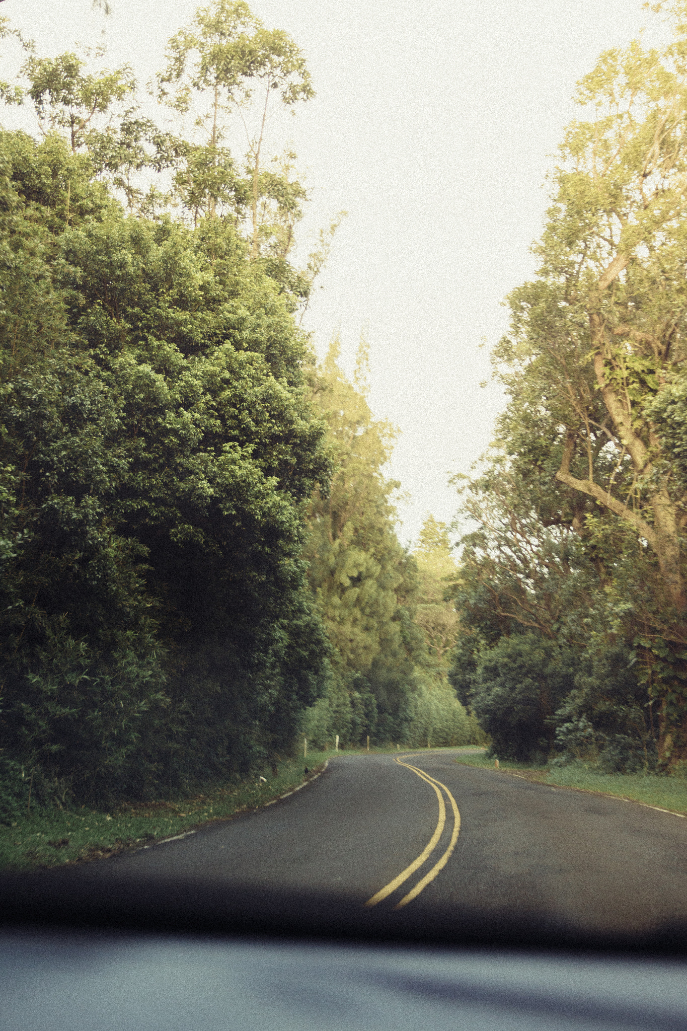 Canon EF-S 17-55mm F2.8 IS USM sample photo. The road less travelled photography