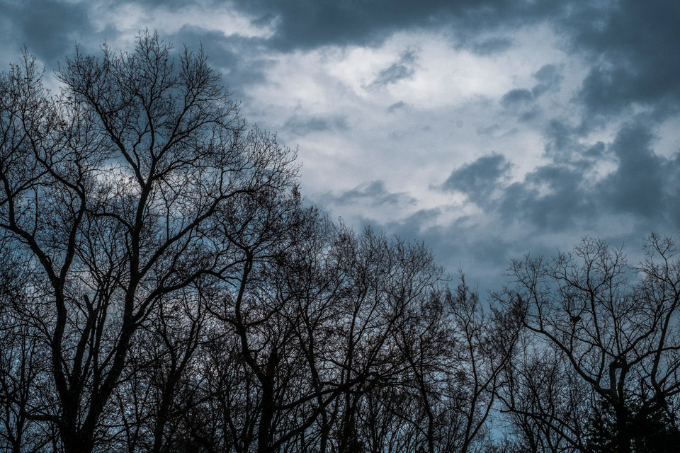 Fujifilm XF 35mm F1.4 R sample photo. Prayers for rain photography