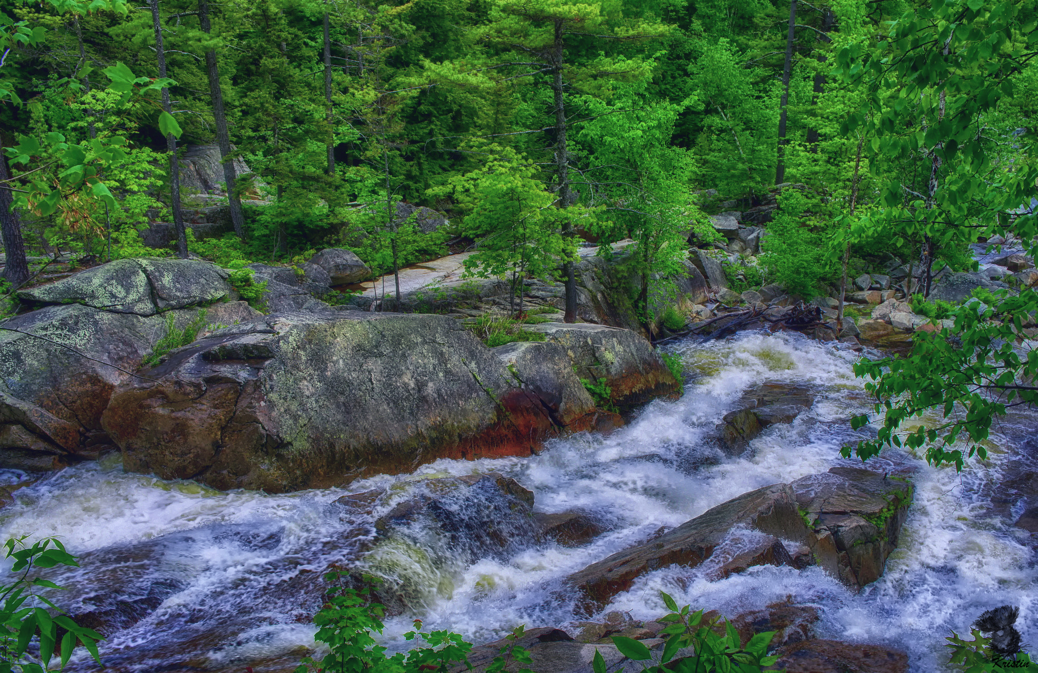 Tamron 18-200mm F3.5-6.3 Di III VC sample photo. Jackson falls photography