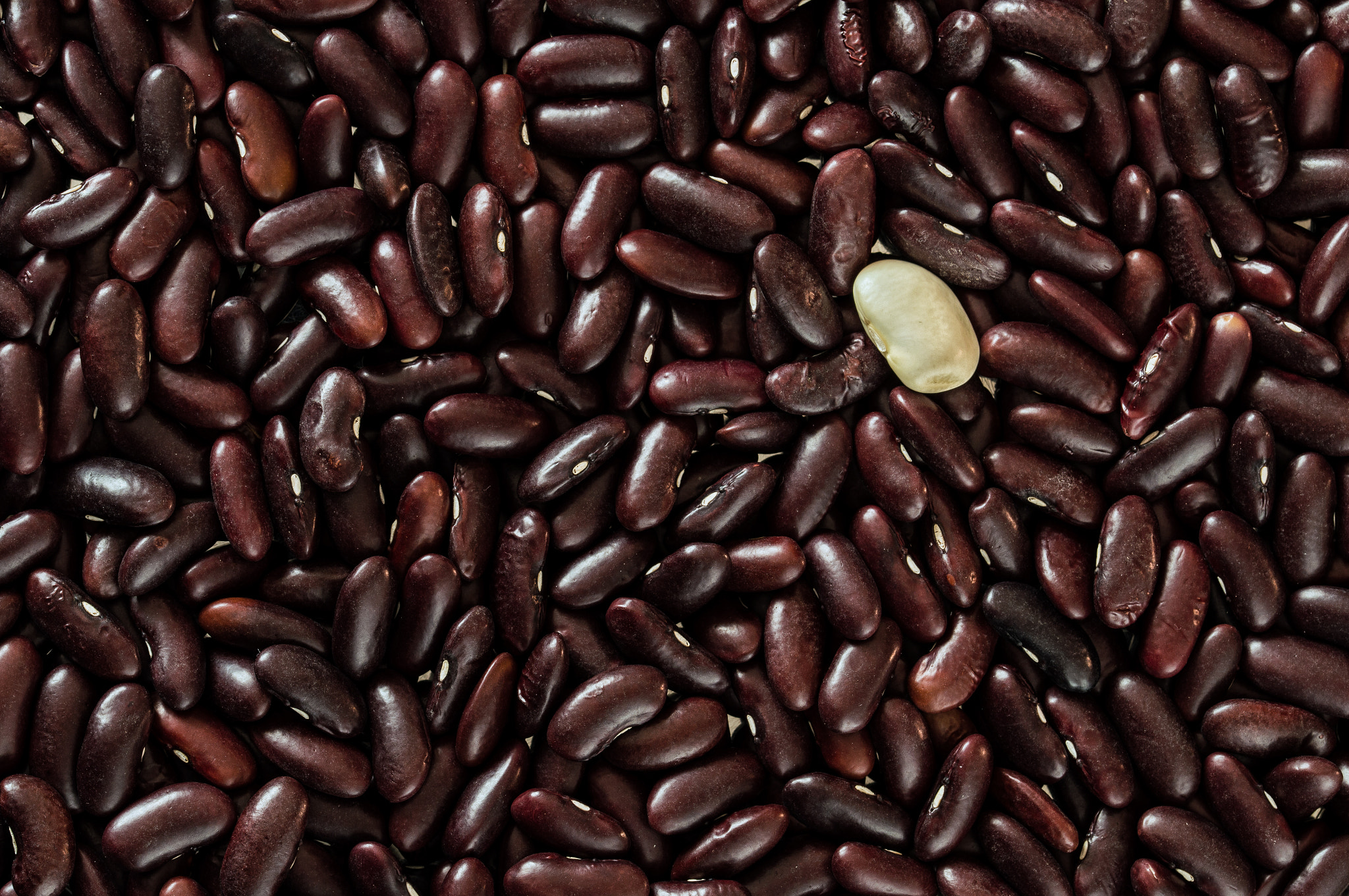 Sigma 105mm F2.8 EX DG OS HSM sample photo. Odd one out photography