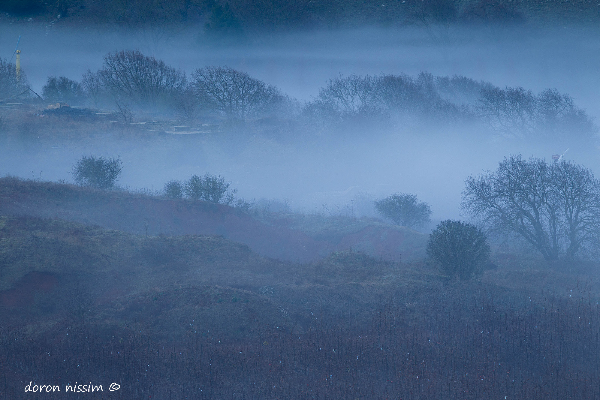 Canon EOS-1D Mark IV + Canon EF 300mm F2.8L IS II USM sample photo. Foggy photography