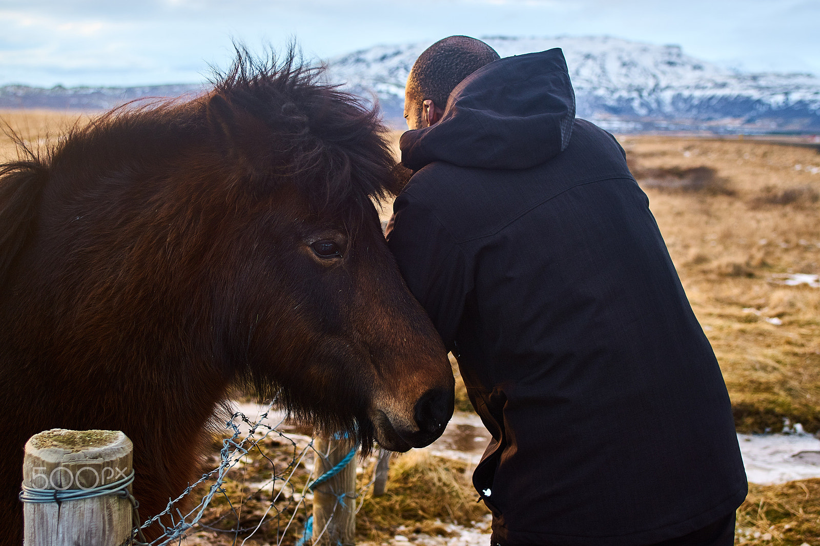 Sony ILCA-77M2 sample photo. The horse and me -iceland photography