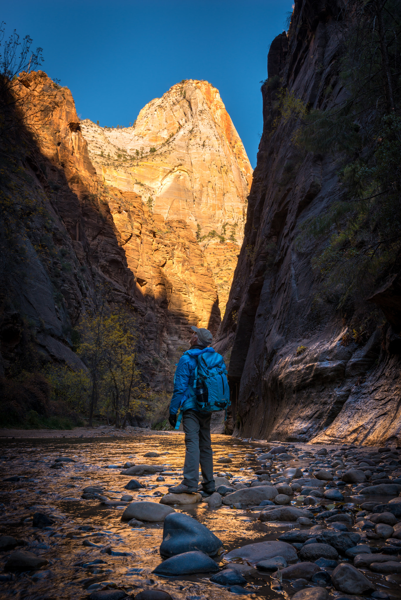 Nikon D800 sample photo. The temple of the virgin river photography