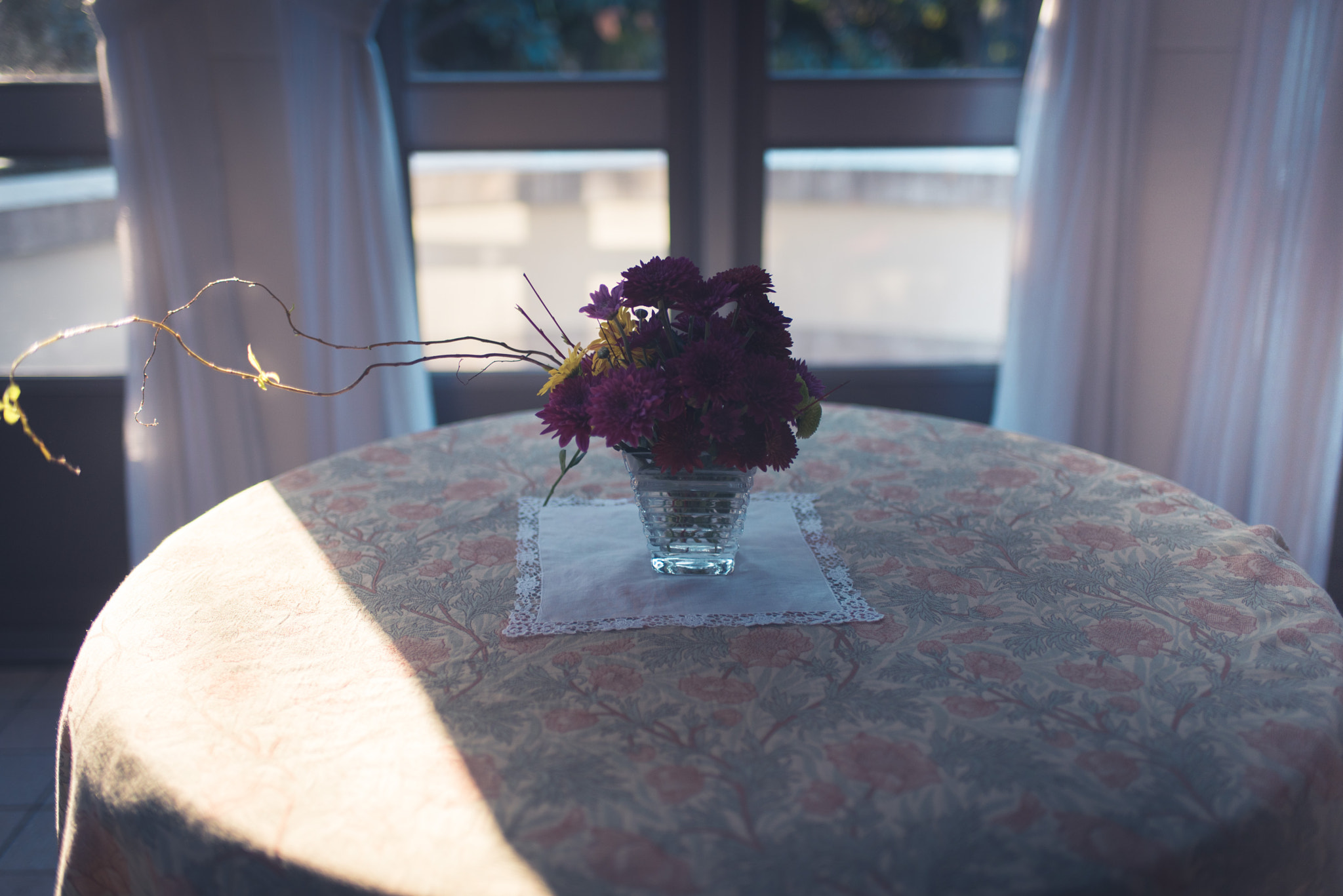 Nikon D750 + Nikon AF-S Nikkor 35mm F1.8G ED sample photo. Flower photography