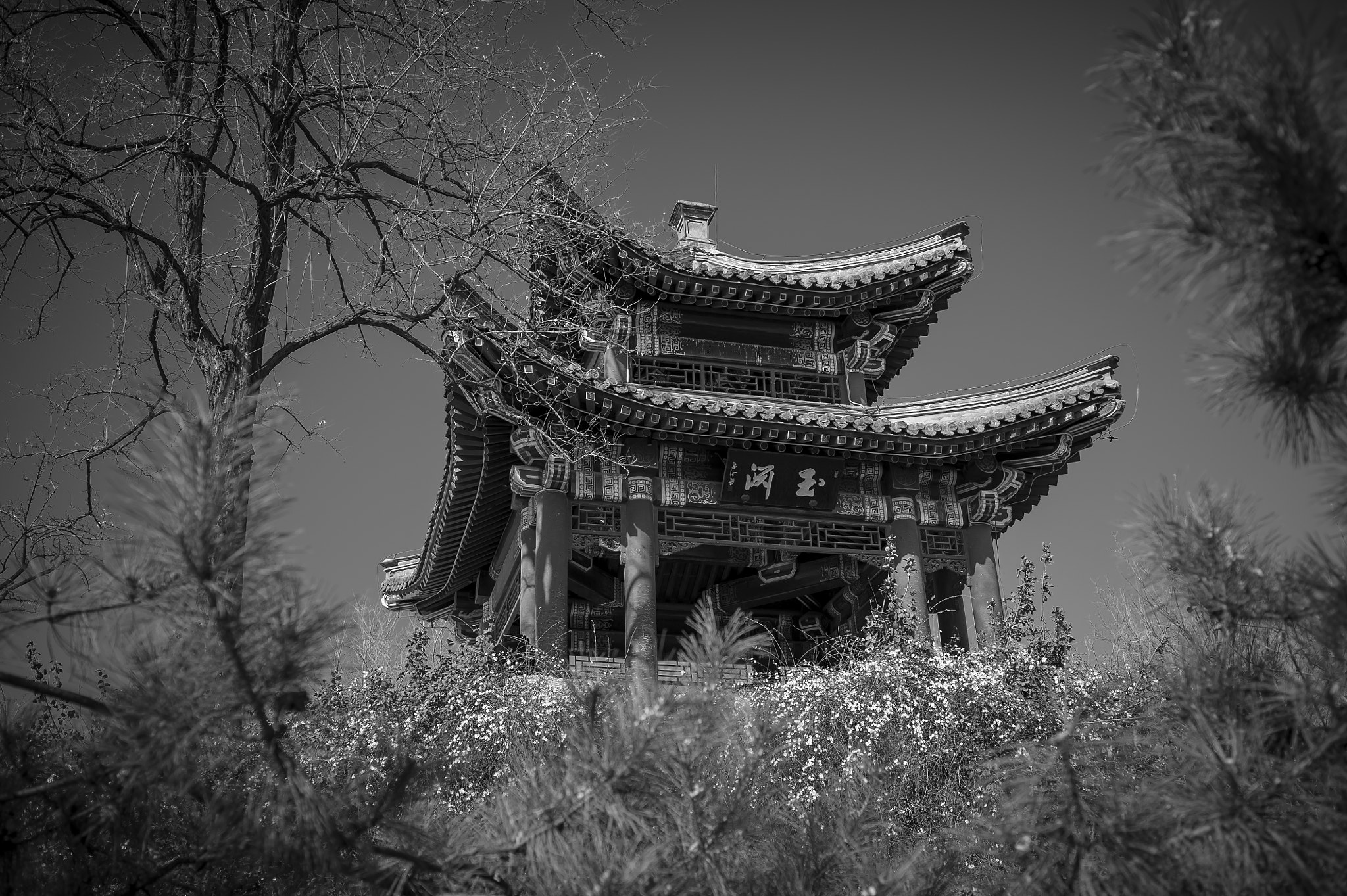Nikon D700 sample photo. Pavilion photography