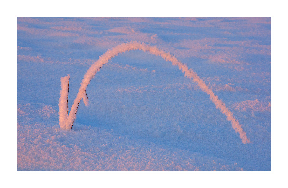 Nikon D300S sample photo. °°° built a bridge °°° photography