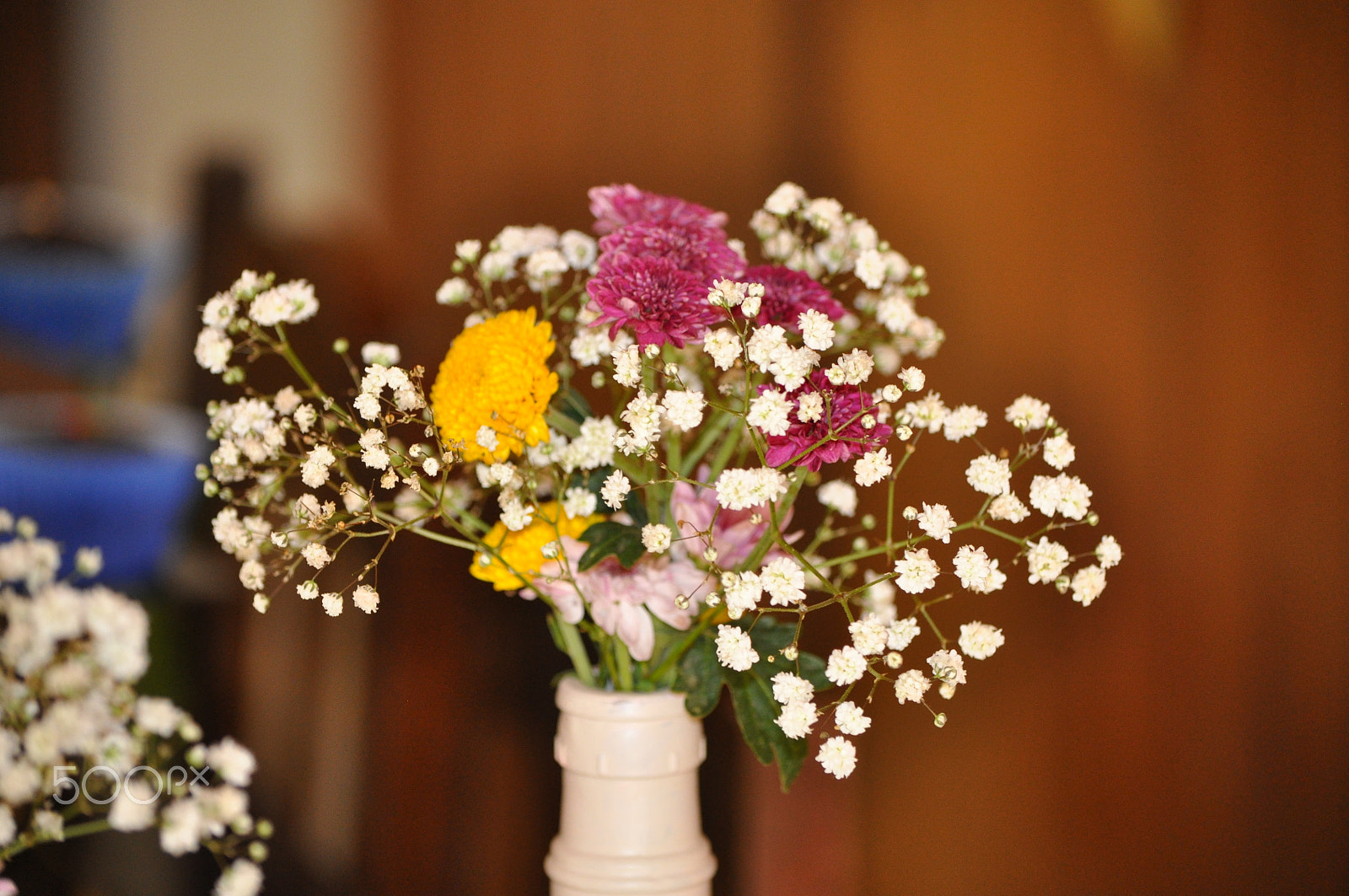 Nikon D5000 sample photo. Flowers pot photography